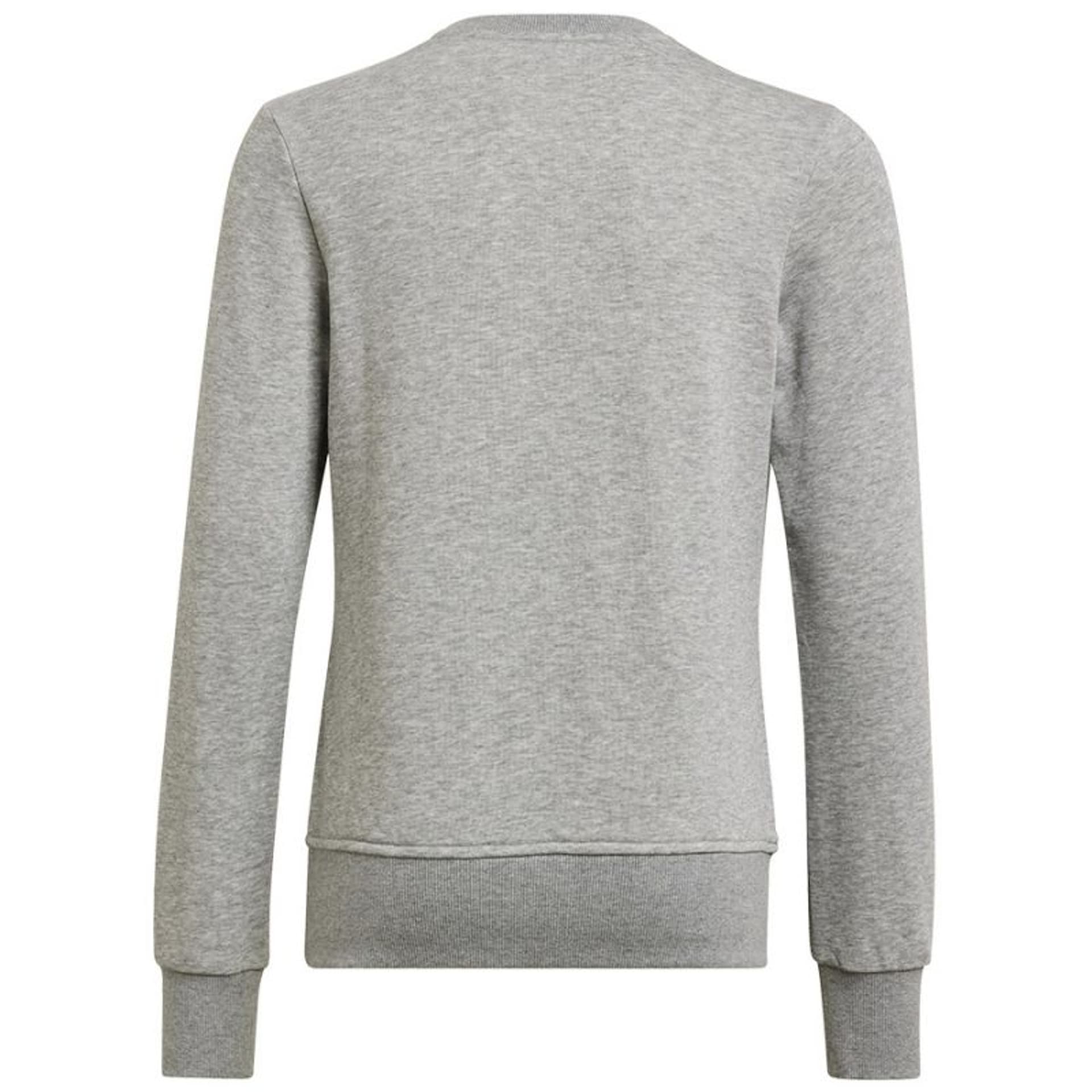 

Bluza adidas Big Logo Swt Jr (kolor Szary/Srebrny