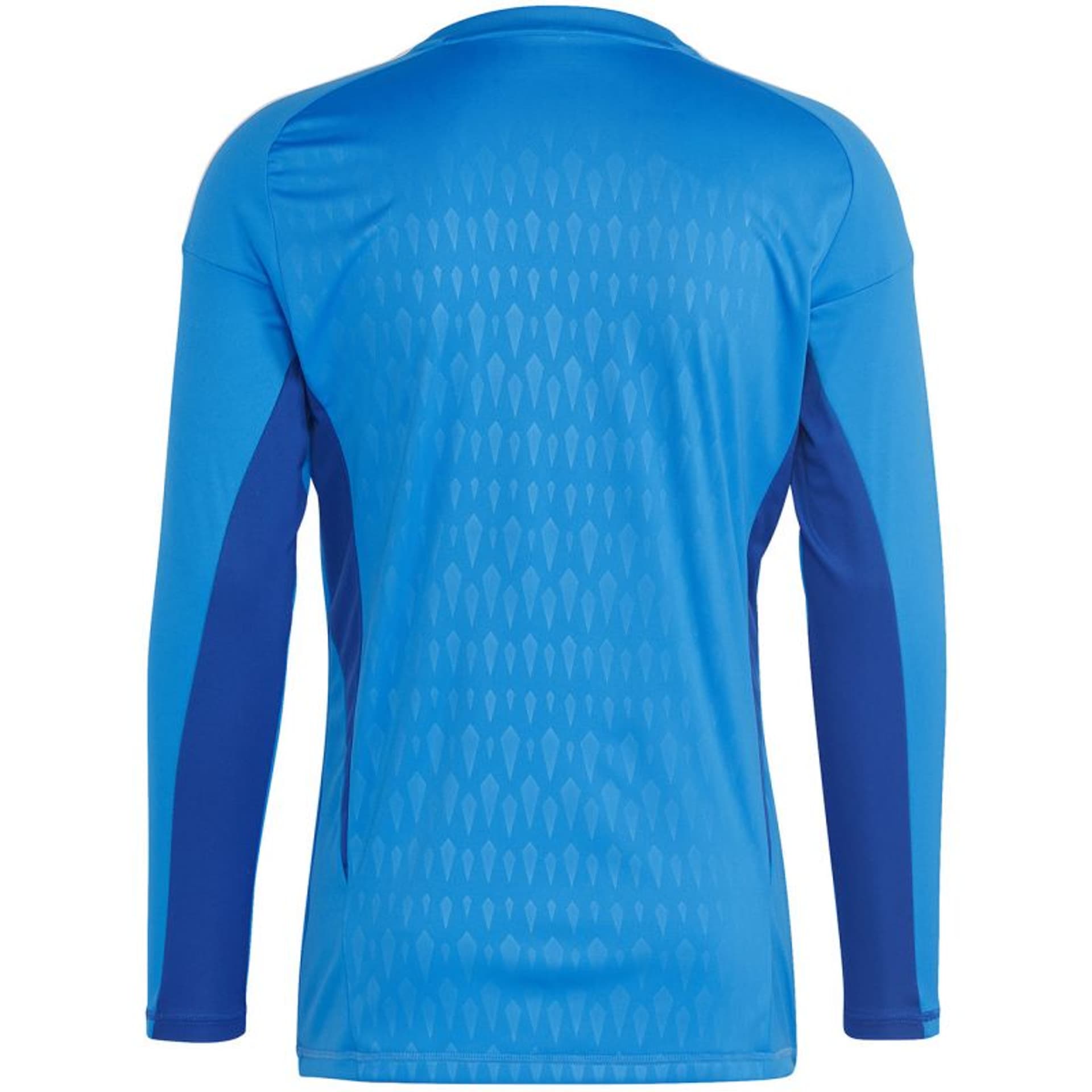 

Koszulka bramkarska adidas Tiro 23 Competition Long Sleeve M (kolor Niebieski, rozmiar L)