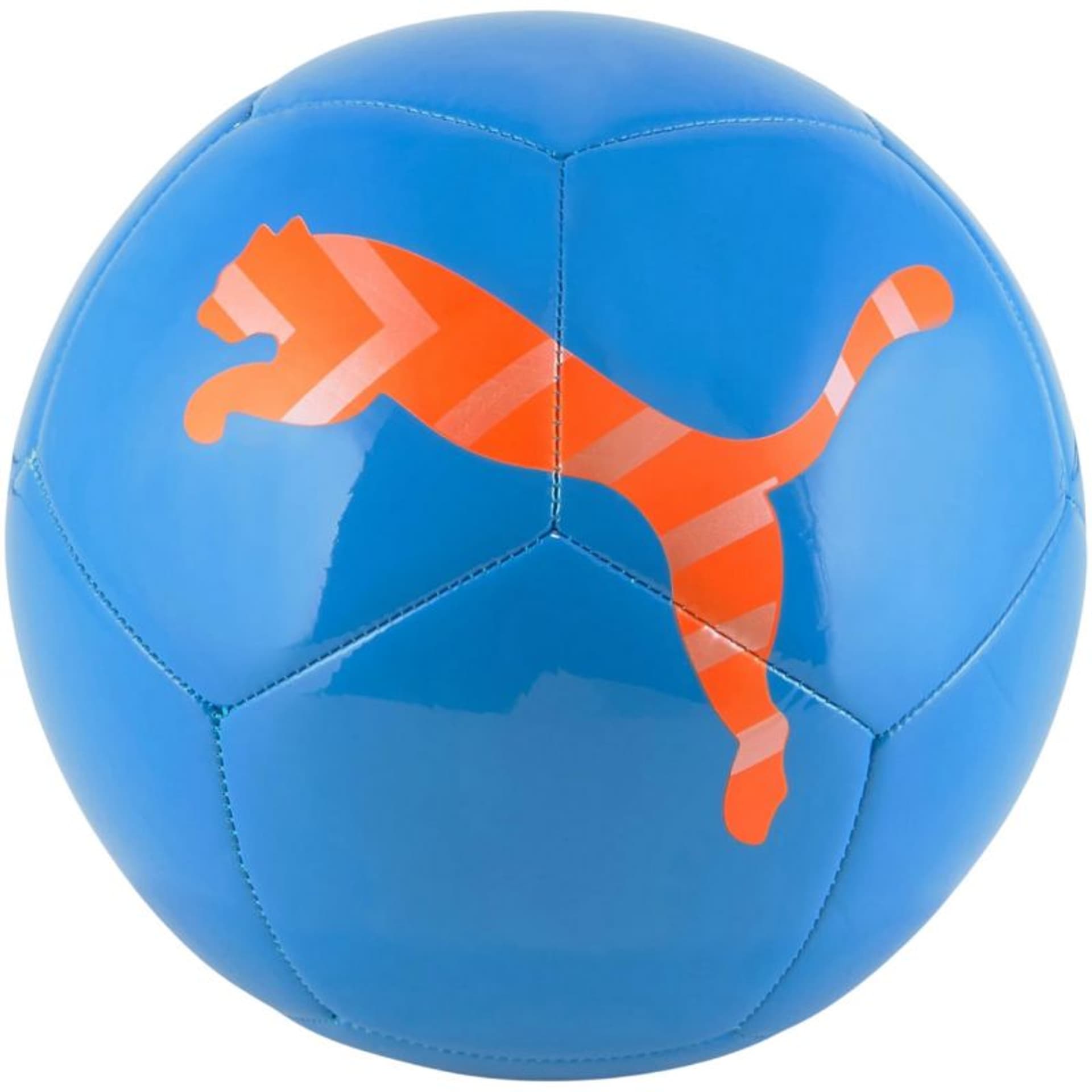 

Piłka nożna Puma Icon 83993 (kolor Niebieski, rozmiar 3)