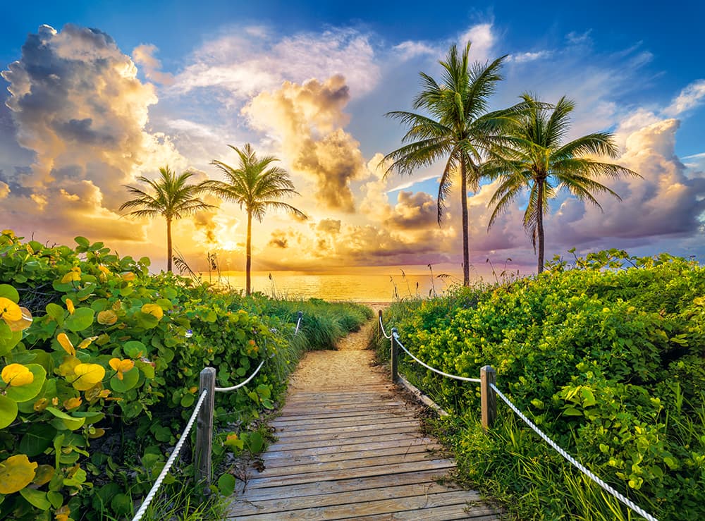 

CASTORLAND Puzzle układanka 3000 elementów Colorful Sunrise in Miami, USA - Wschód Słońca w Miami 92x68cm