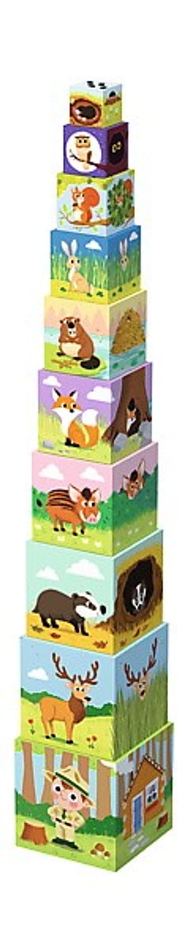

Baby cubes - W lesie - Little Planet