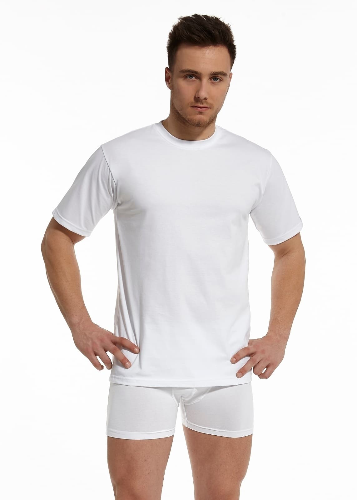 

KOSZULKA CORNETTE AU-202 (kolor biały, rozmiar 3XL)