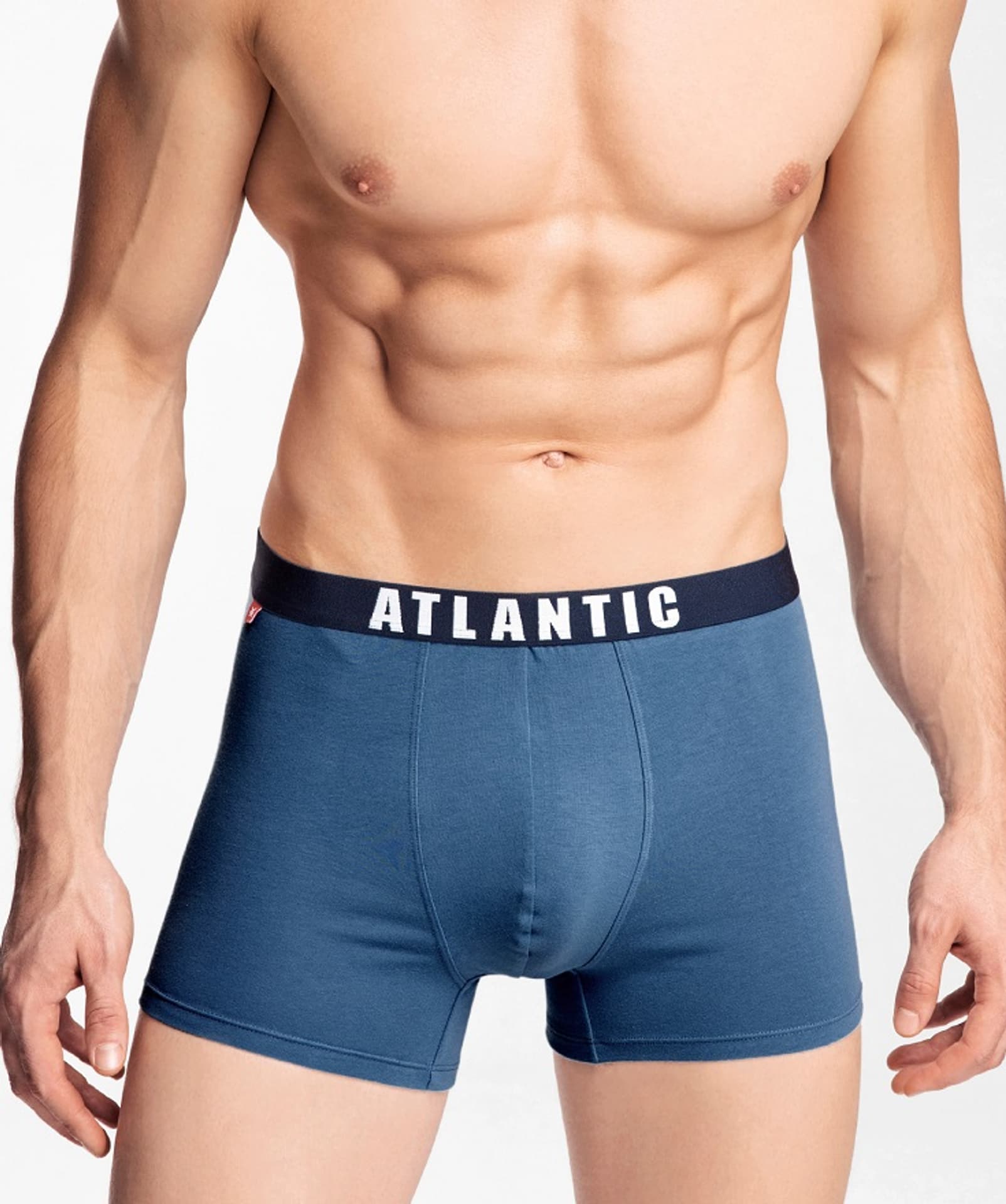 

SZORTY ATLANTIC 3MH-011 (kolor biały, rozmiar XXL)