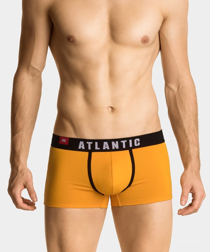 

SZORTY ATLANTIC 3MH-014 WL22 (kolor denim, rozmiar M)