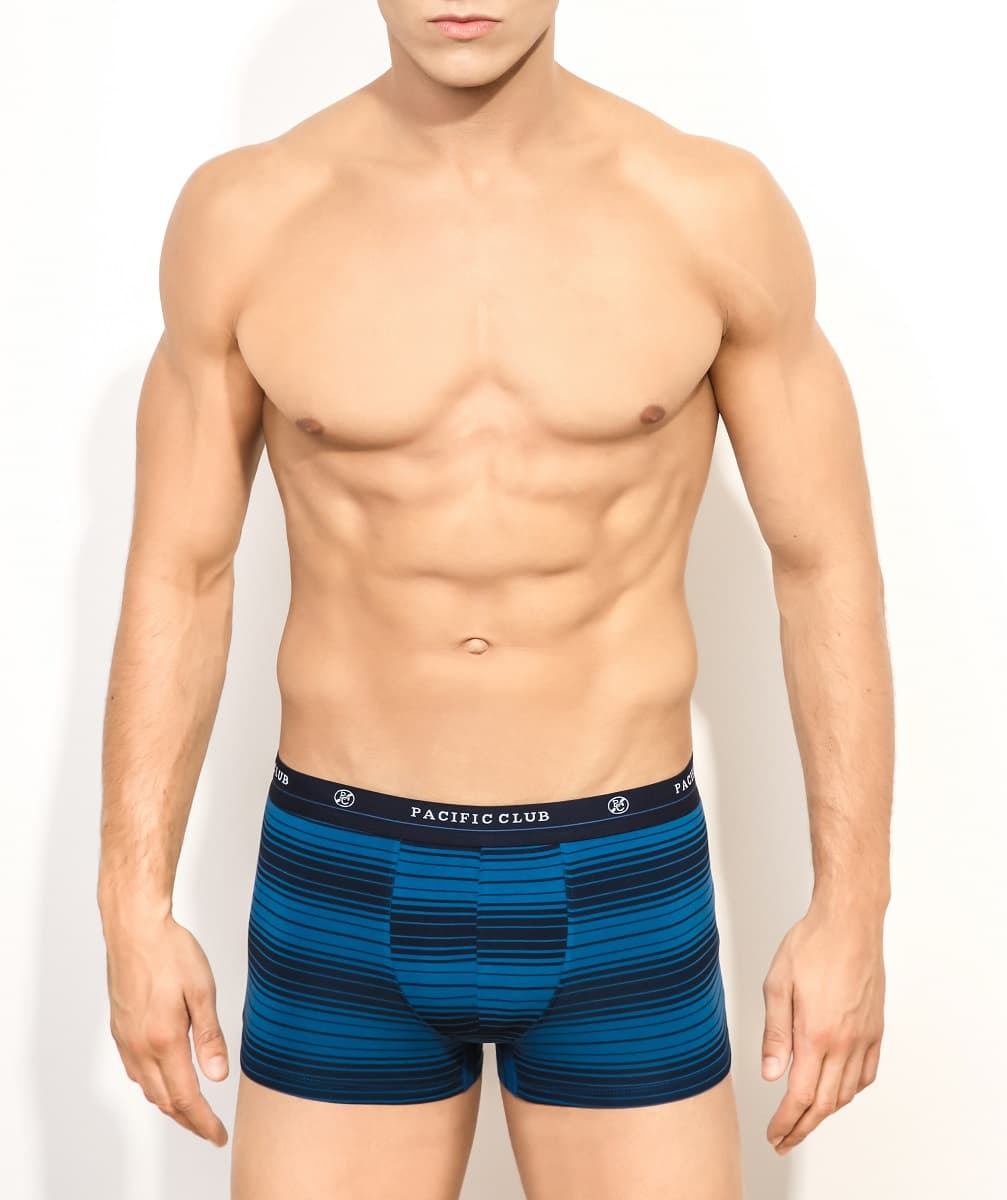 

SZORTY ATLANTIC PACIFIC PMH-004 (kolor jeans, rozmiar L)
