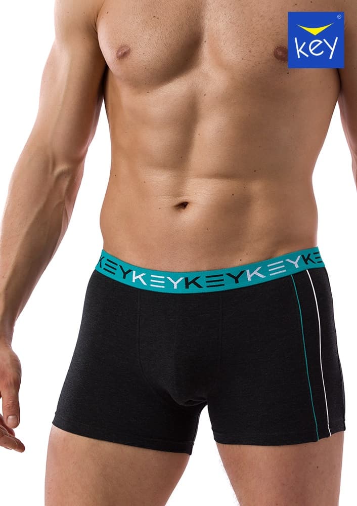 

SZORTY KEY MXH-227 B21 (kolor szary, rozmiar M)