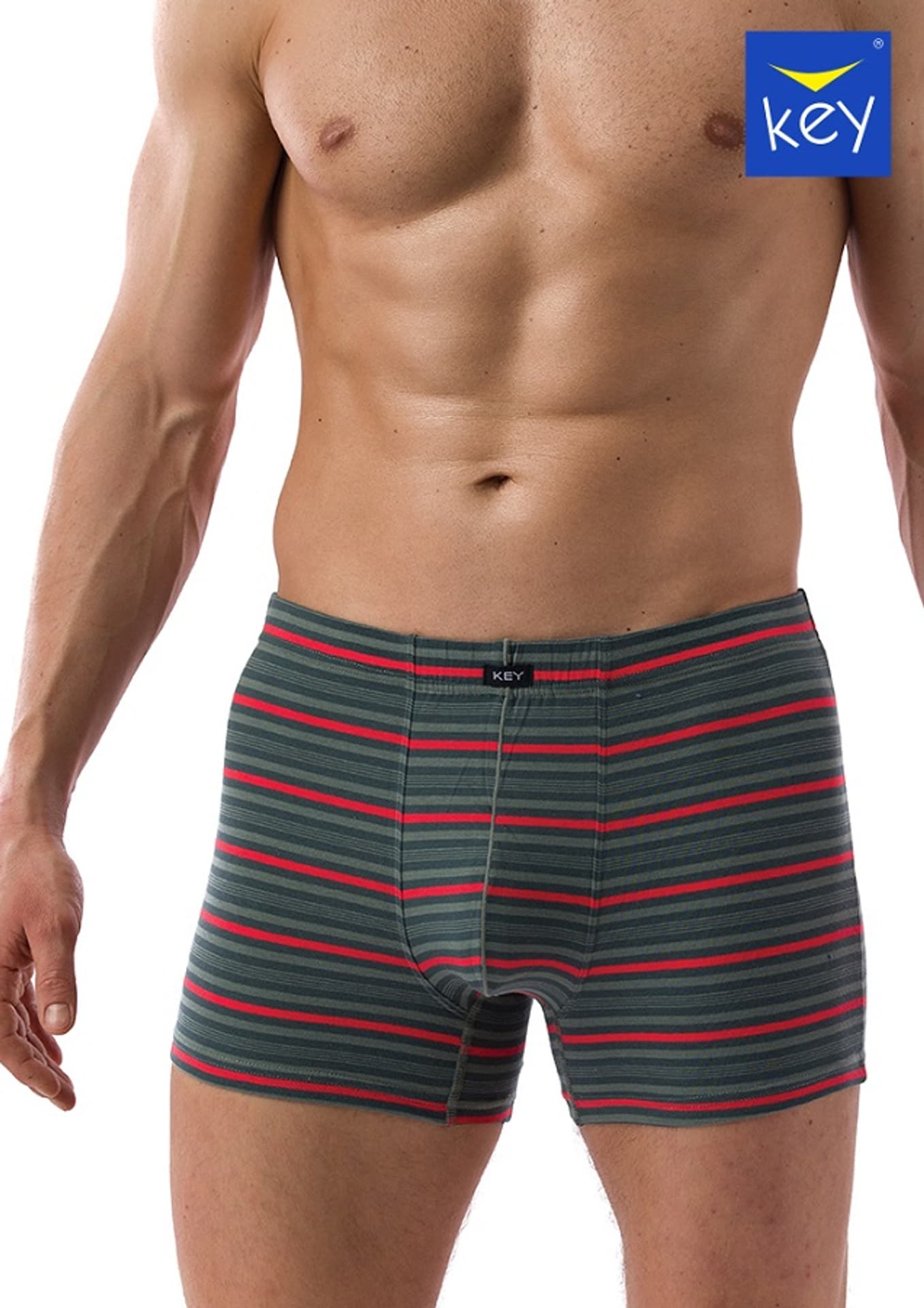 

SZORTY KEY MXH-380 B21 -4XL (kolor zielony, rozmiar 3XL)