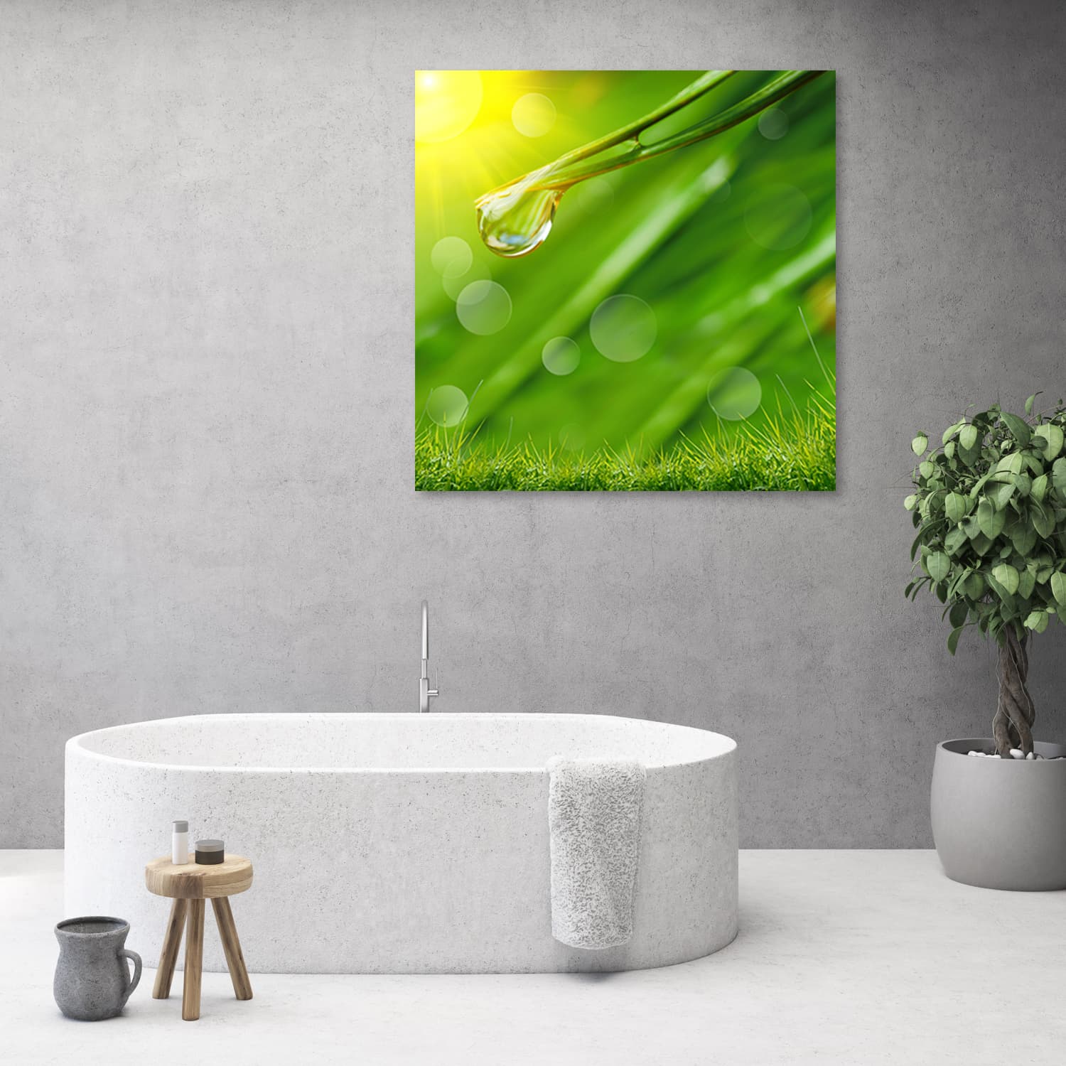 

Obraz Deco Panel, Rosa na trawie (Rozmiar 40x40)