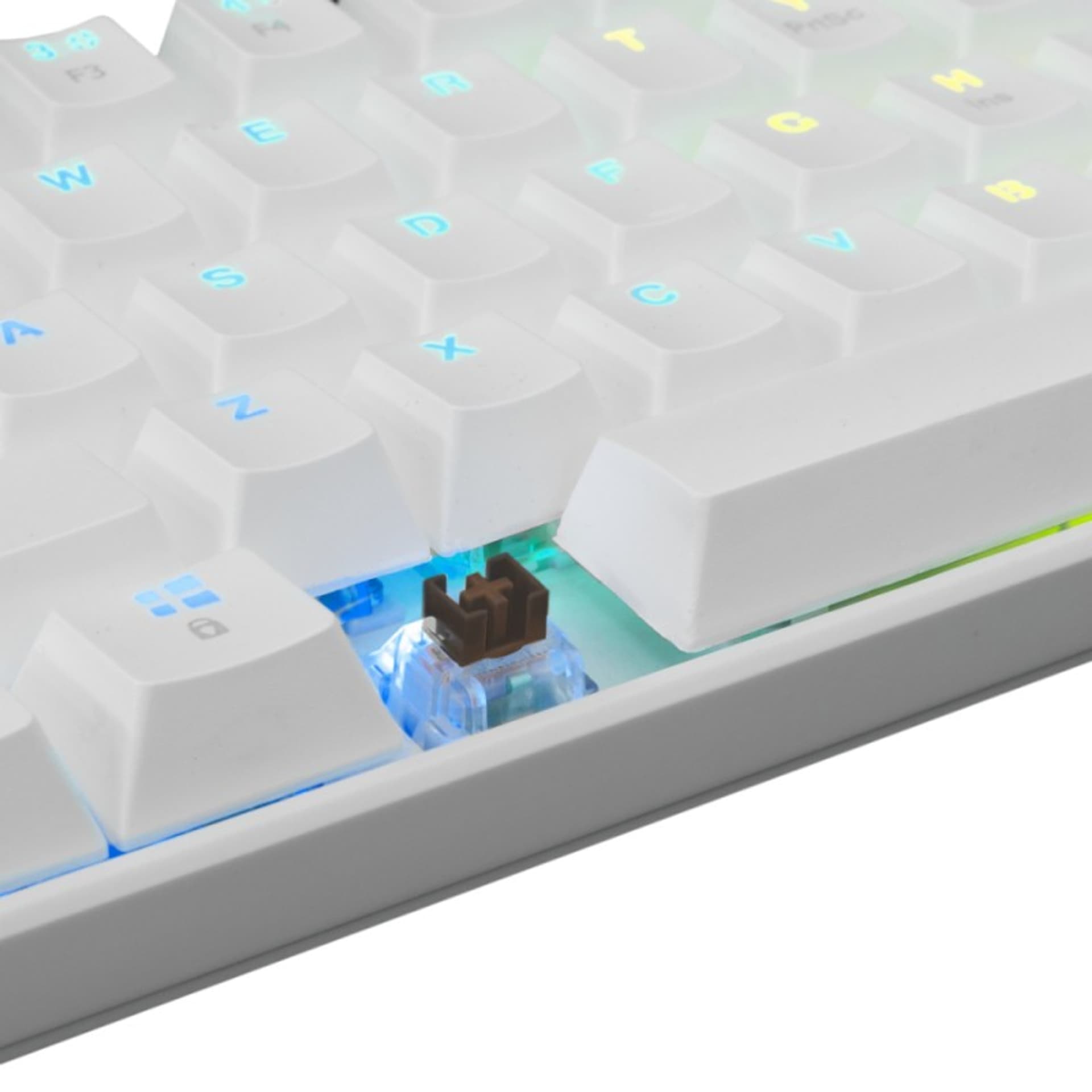 

WhiteShark Klawiatura gamingowa SHINOBI BR biała