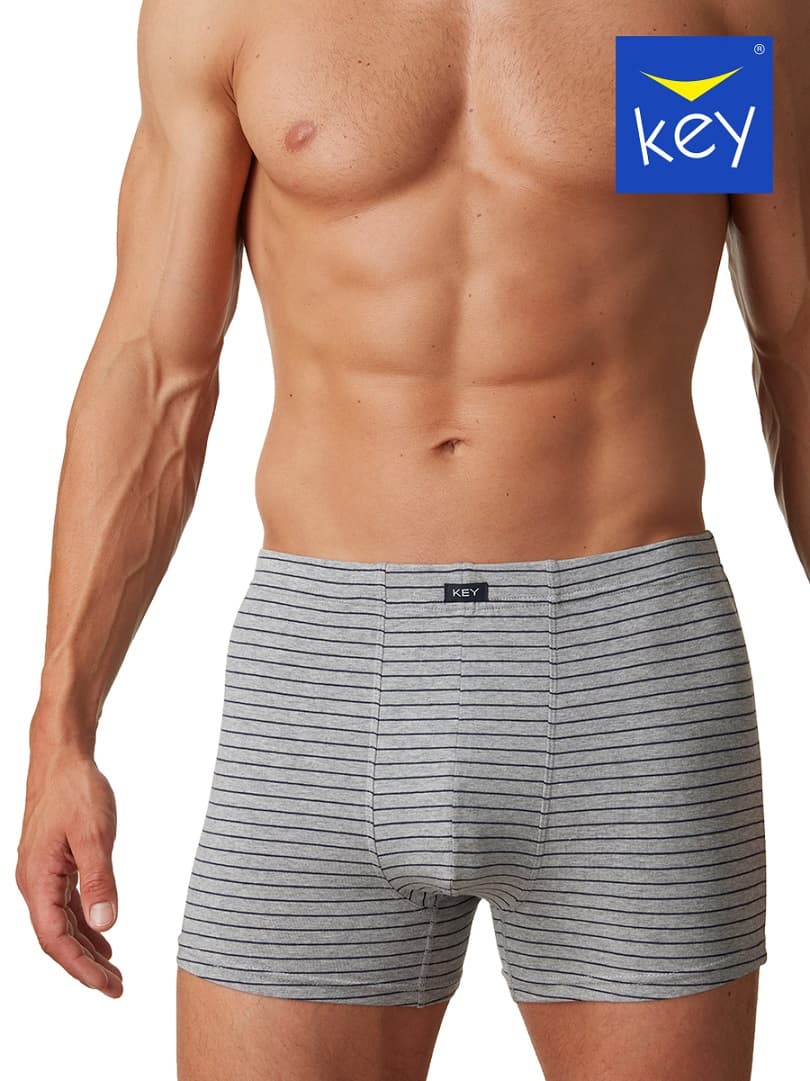 

SZORTY KEY MXH-378 A22 -4XL (kolor szary, rozmiar 3XL)