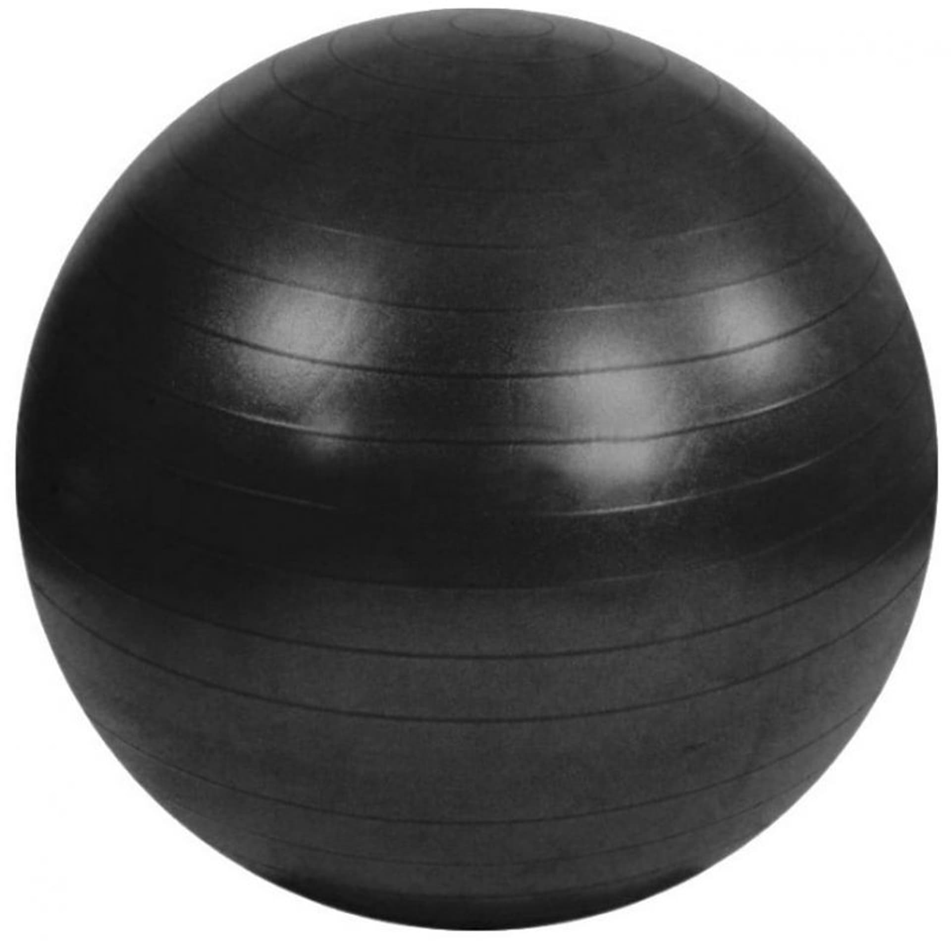 

Piłka gimnastyczna Anti-Burst 95 cm S825 (kolor Niebieski