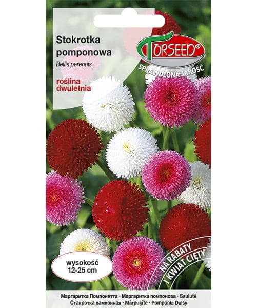 Nasiona Stokrotka Pomponowa 0,1g