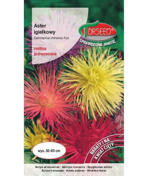 Nasiona Aster Igiełkowy wysoki 1g