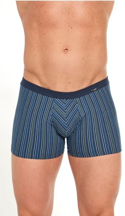 

BOKSERKI VARIOUS MINI 228/126 (kolor paski jeans, rozmiar M)