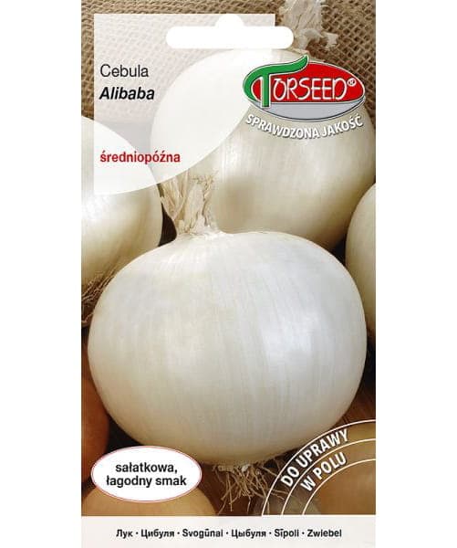 Nasiona Cebula Alibaba 3g