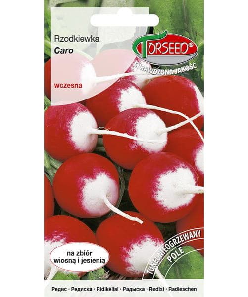 Nasiona Rzodkiewka Caro 10g