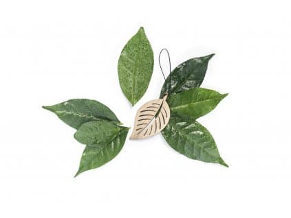 

The Leaf Zielona Herbata i Bergamotka - pachnąca zawieszka do samochodu
