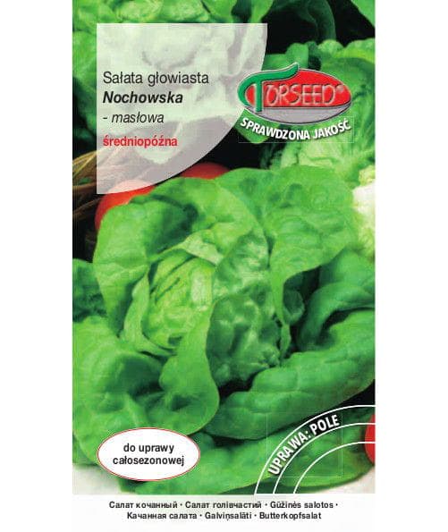 

Nasiona Sałata masłowa Nochowska 1g