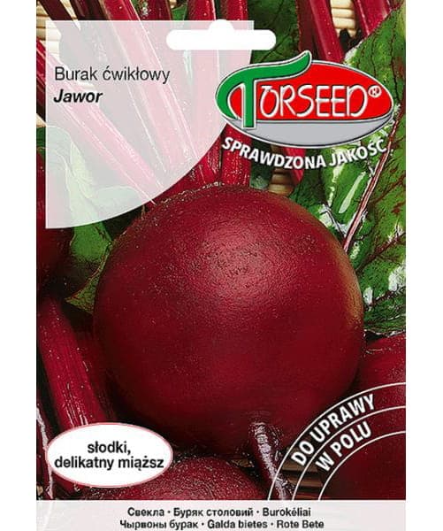 Nasiona Burak ćwikłowy Jawor 10g