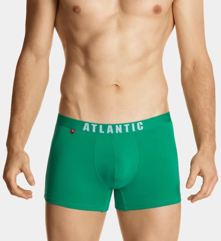

SZORTY ATLANTIC 5SMH-004 (kolor grafit, rozmiar L)