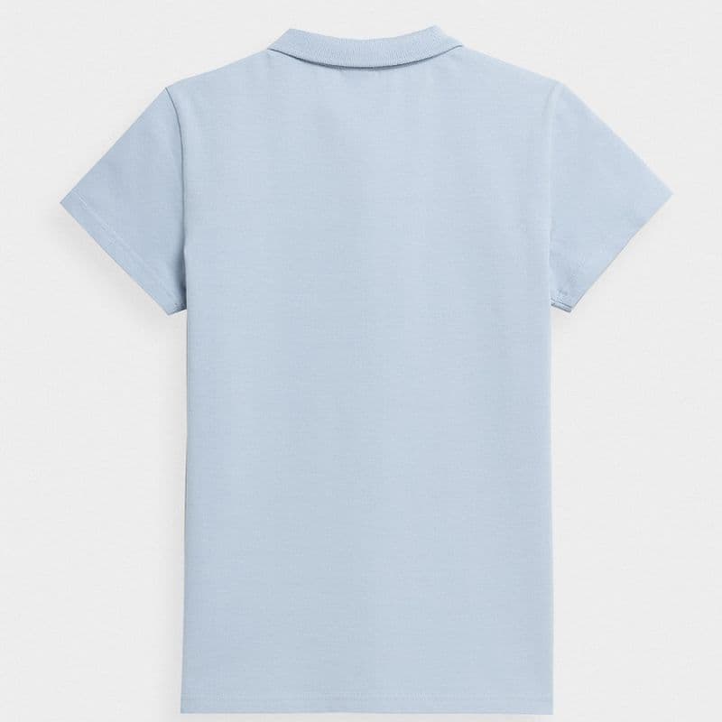 

Koszulka polo 4F W 4FSS23TTSHF585 (kolor Niebieski, rozmiar XXL)