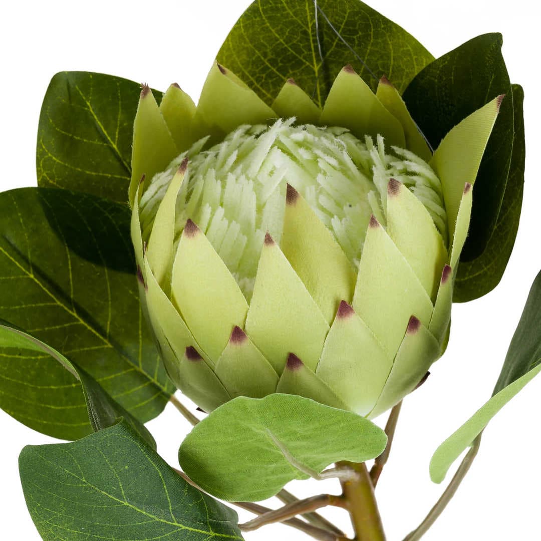 

Roślina sztuczna- protea_Aluro