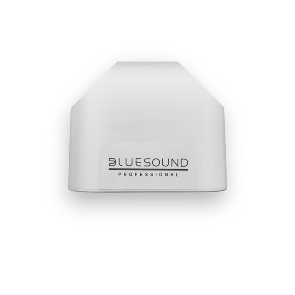 

BLUESOUND PROFESSIONAL GŁOŚNIK BSP125W - AKTYWNY BEZPRZEWODOWY GŁOŚNIK SIECIOWY