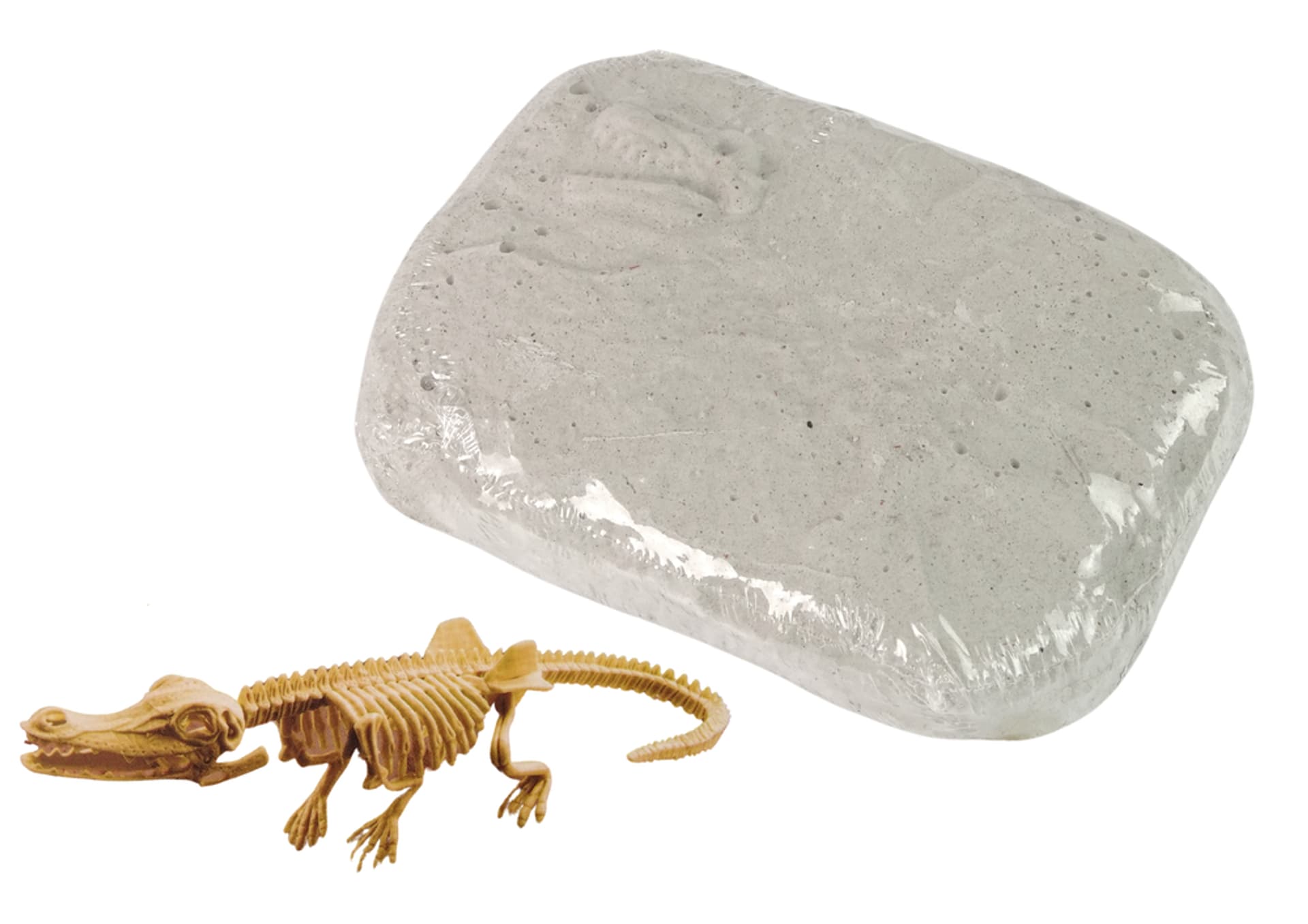 

Zestaw Archeologiczny Wykopaliska Dinozaur Czaszkogłowy