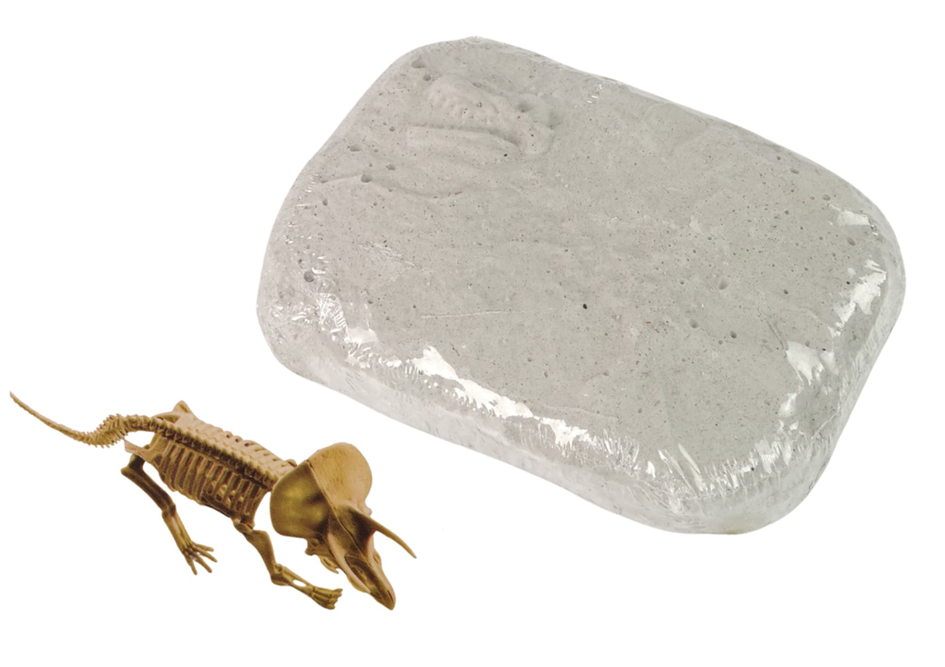 

Zestaw Archeologiczny Wykopaliska Dinozaur Triceratops Szkielet