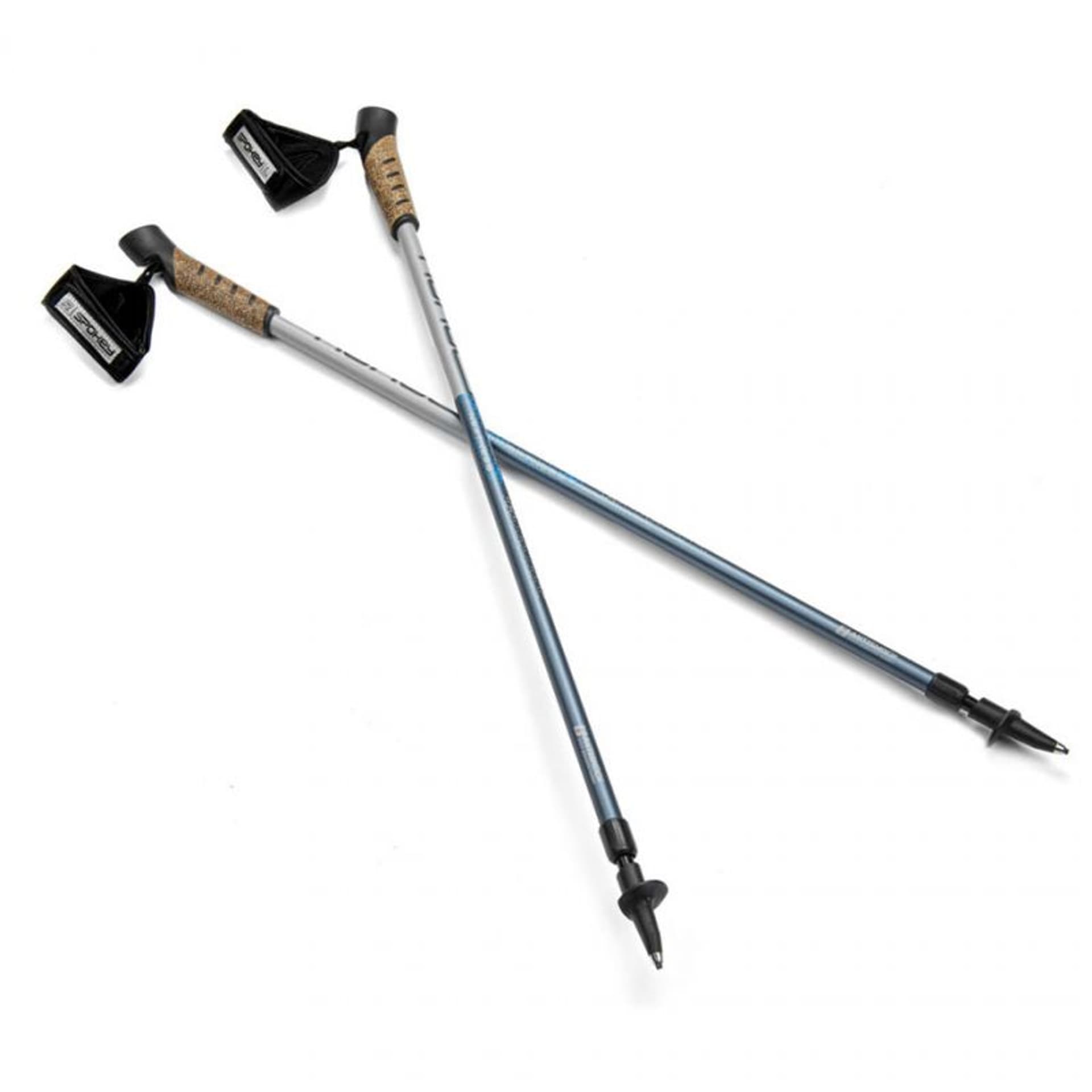 

Kijki do Nordic Walking Spokey Neatness II 929464 (kolor Niebieski. Szary/Srebrny)