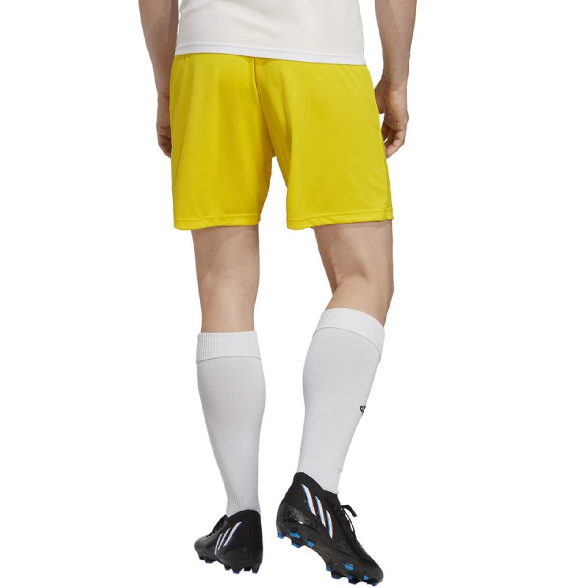 

Spodenki adidas Entrada 22 M (kolor Żółty, rozmiar XL)