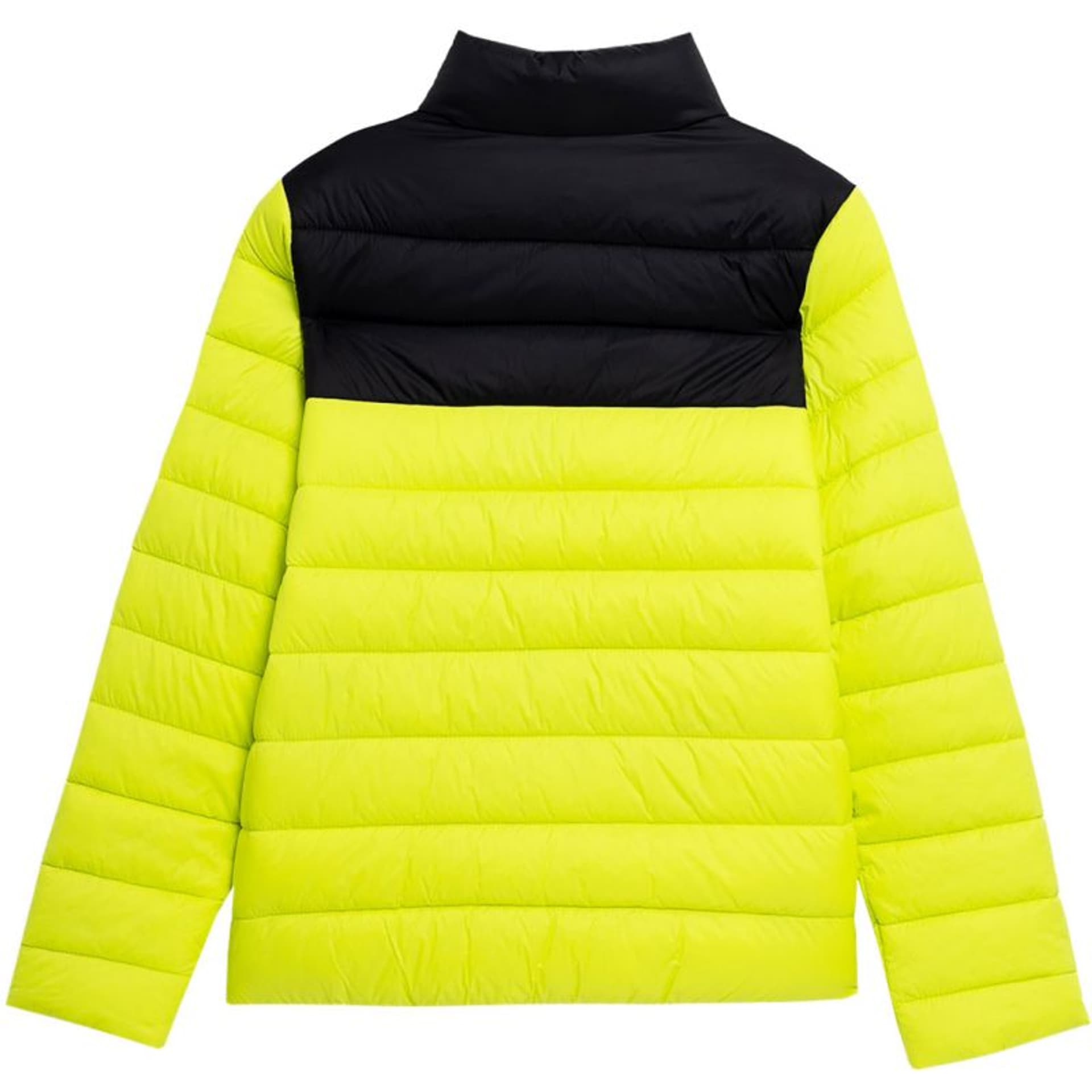 

Kurtka 4F Jr 4FJSS23TDJAM077 (kolor Zielony, rozmiar 164cm)