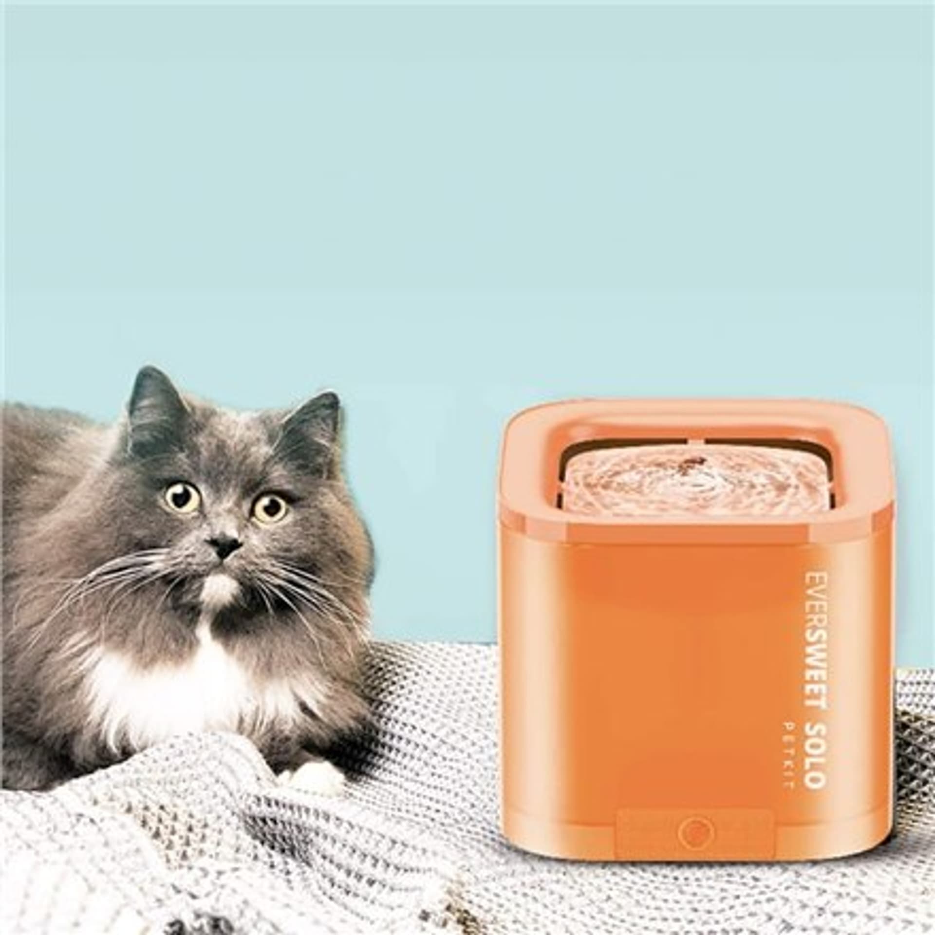 

PETKIT Smart Pet Drinking Fountain Eversweet Solo Pojemność 1,85 L, pomarańczowy