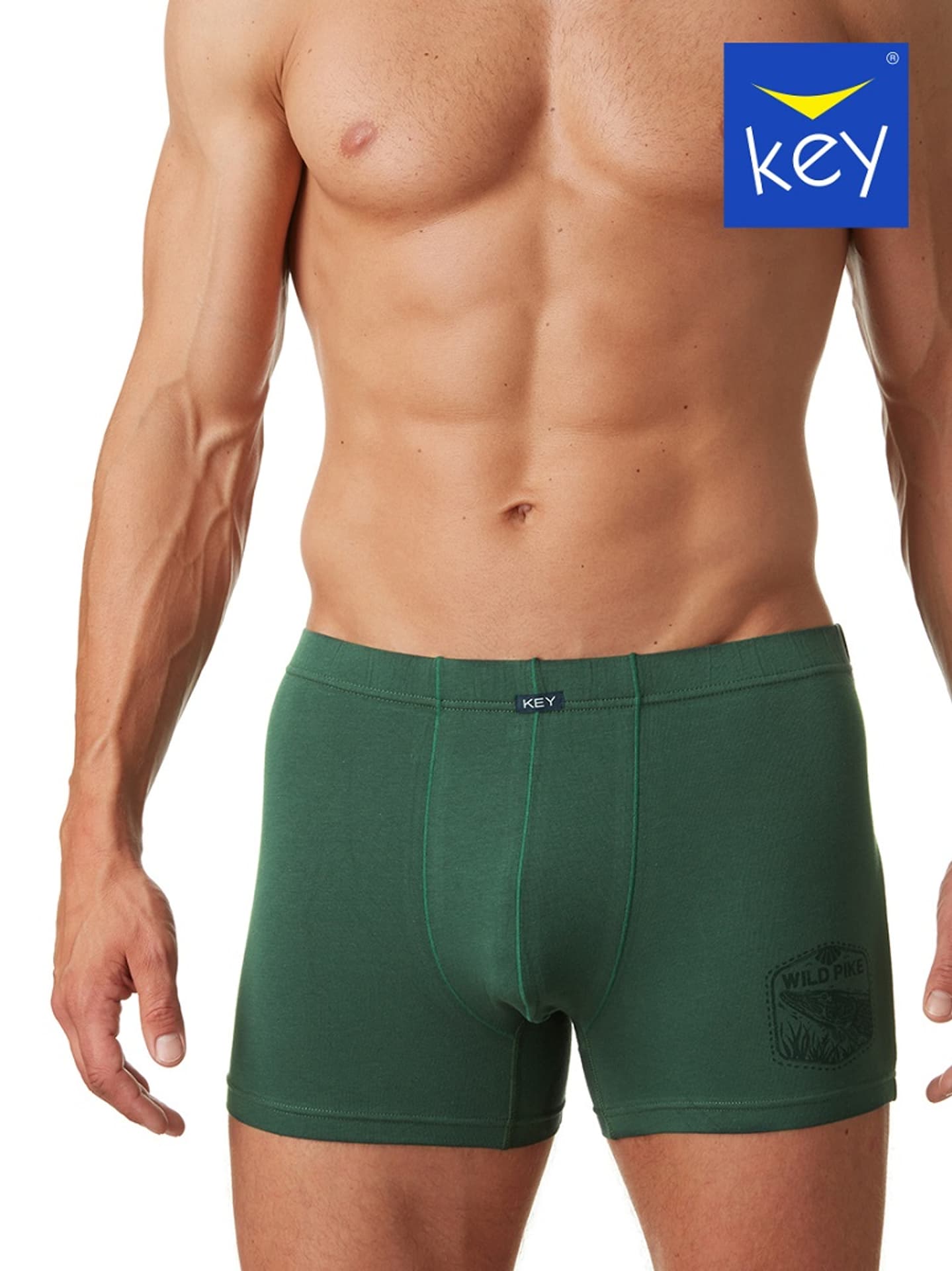 

SZORTY KEY MXH-727 A22 - (kolor olivo, rozmiar 4XL)