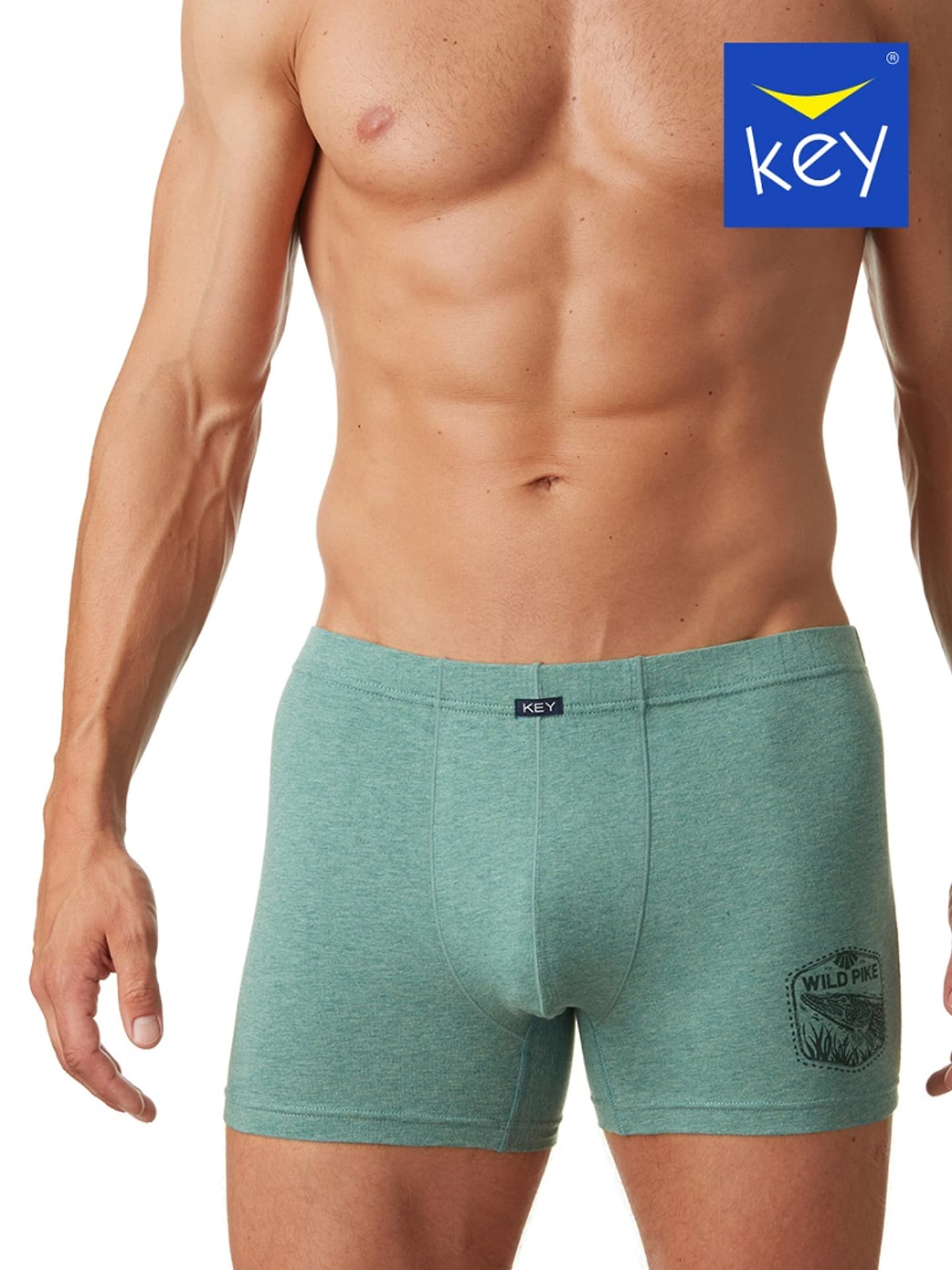 

SZORTY KEY MXH-727 A22 -4XL (kolor olivo, rozmiar 3XL)
