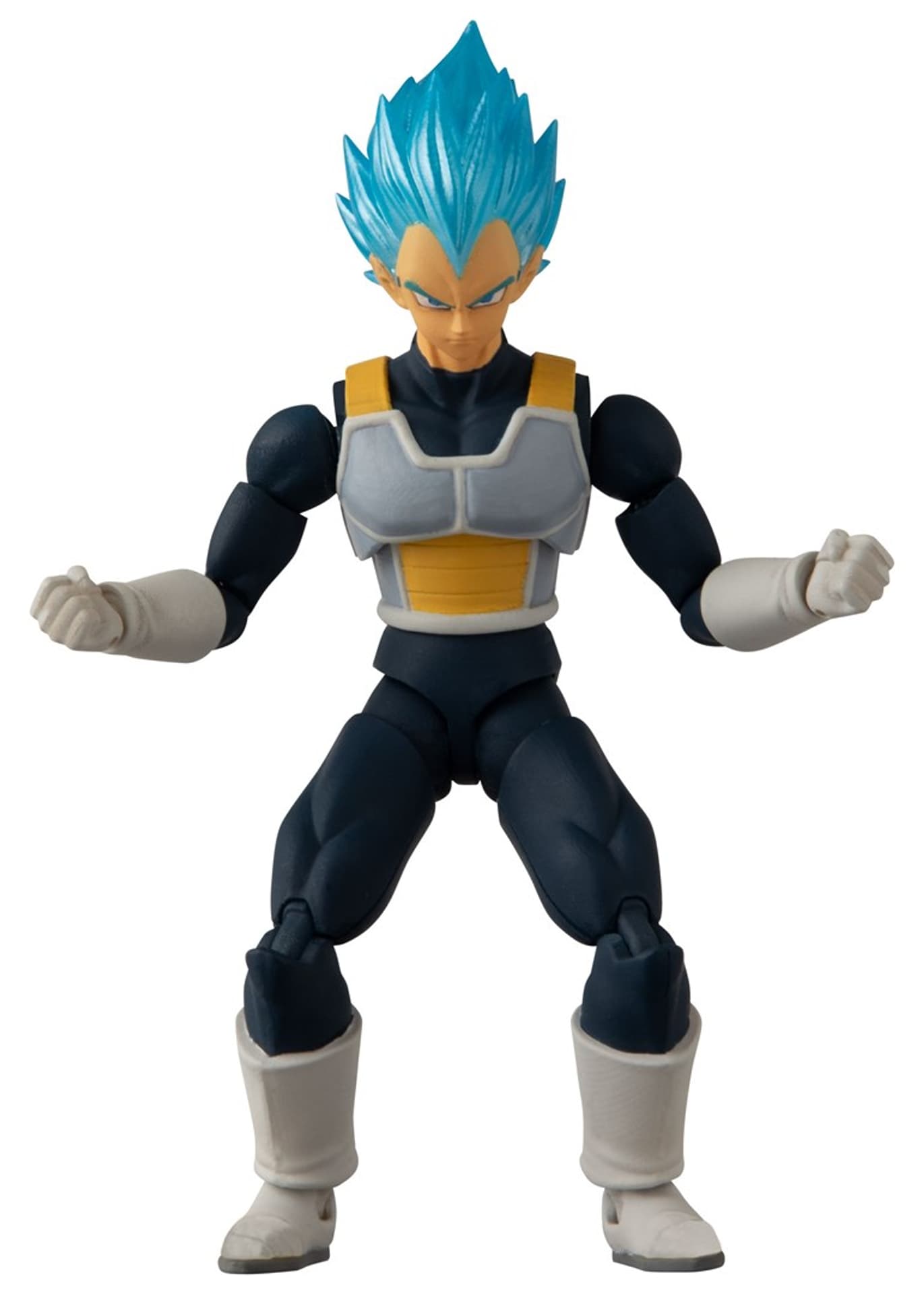 

DRAGON BALL EVOLVE SUPER SAIYAN BLUE VEGETA