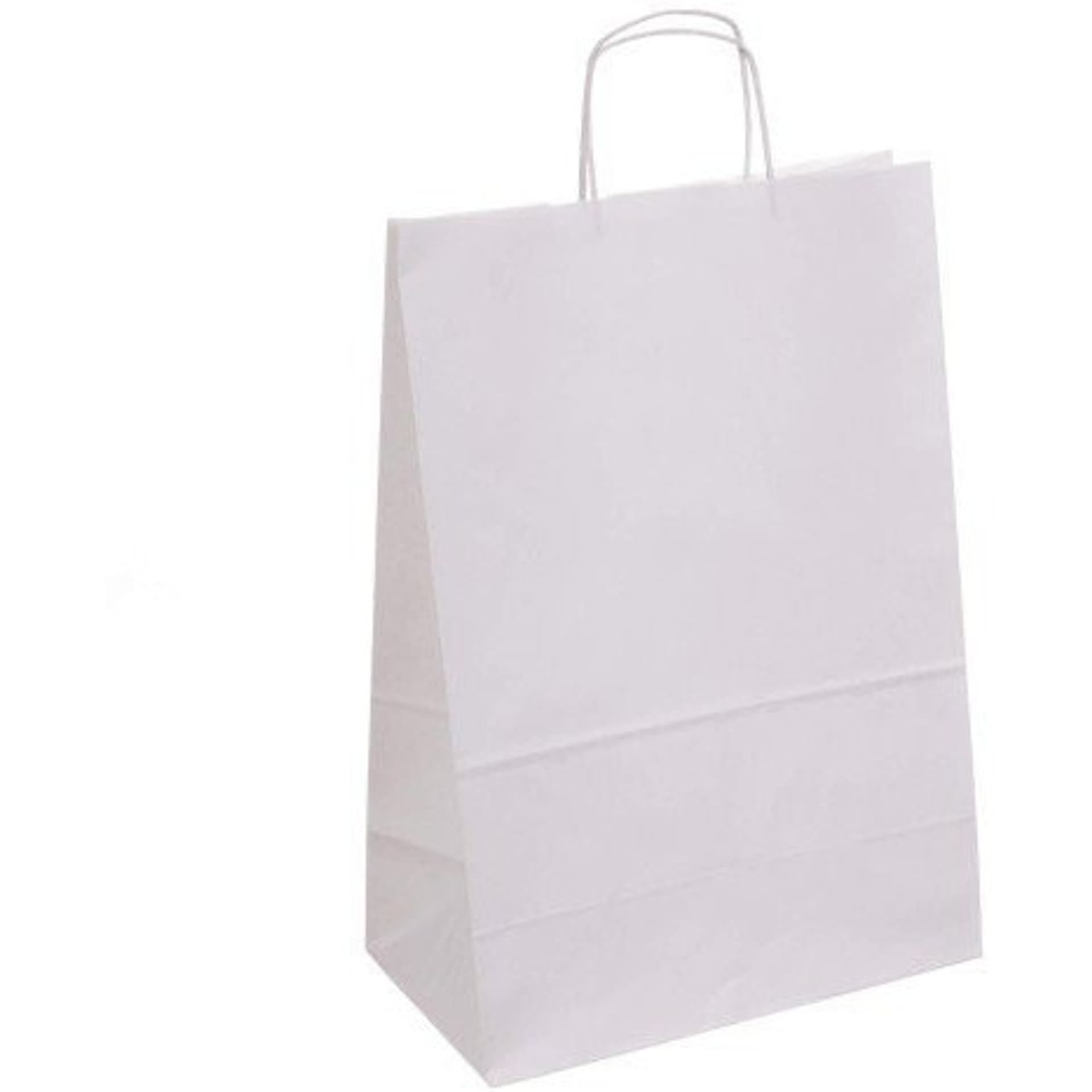 

Torba ekologiczna ECOBAG 305x170x425mm biała 100g 11011040000
