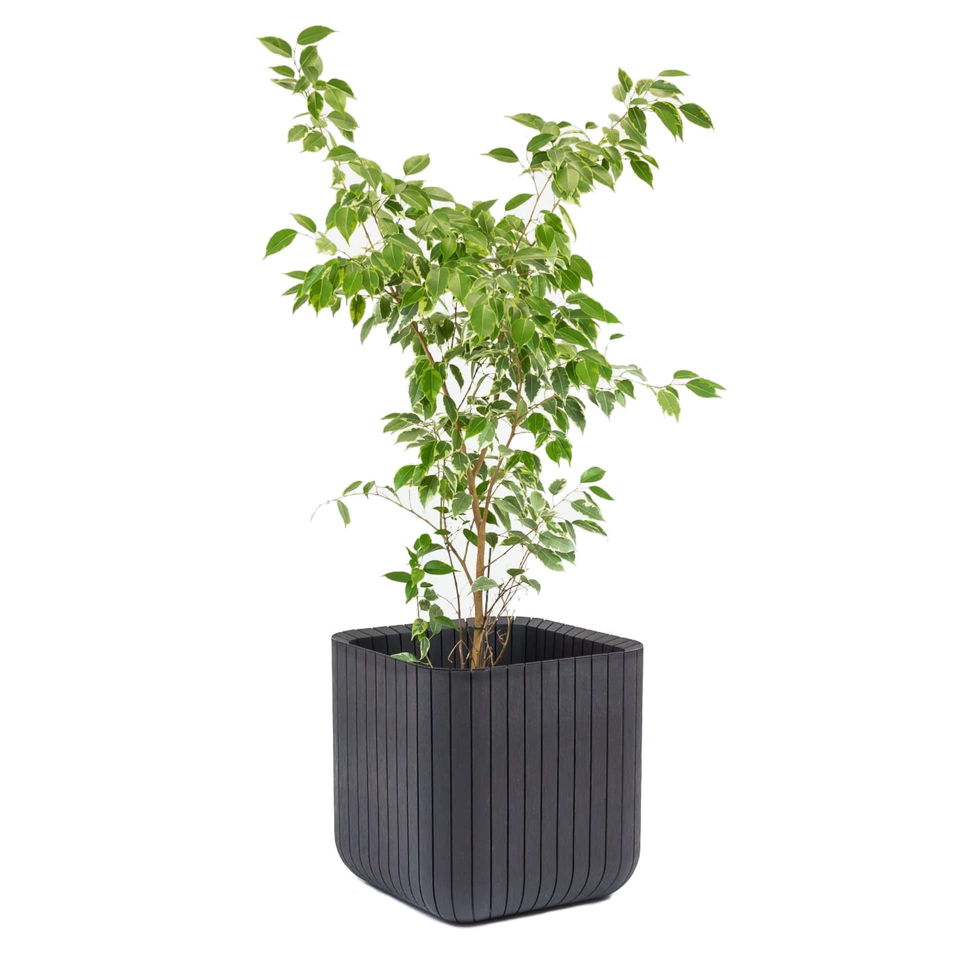 

Doniczka Keter Cube Wood Planter L antracyt