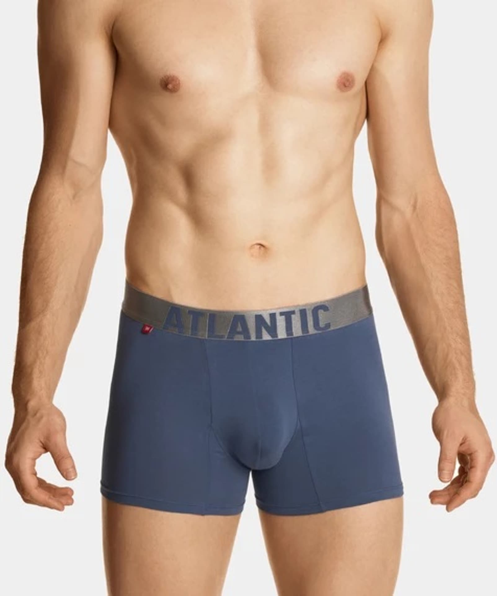 

SZORTY ATLANTIC 3SMH-049 (kolor granat, rozmiar XXL)
