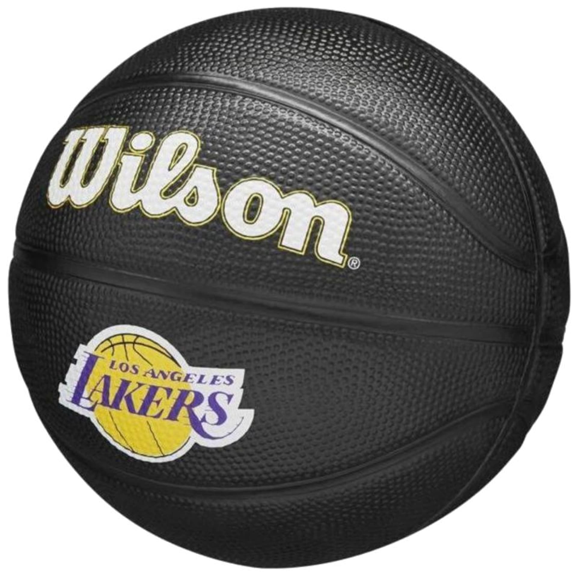 

Piłka Wilson Team Tribute Golden State Warriors Mini Ball Jr (kolor Czarny, rozmiar 3)