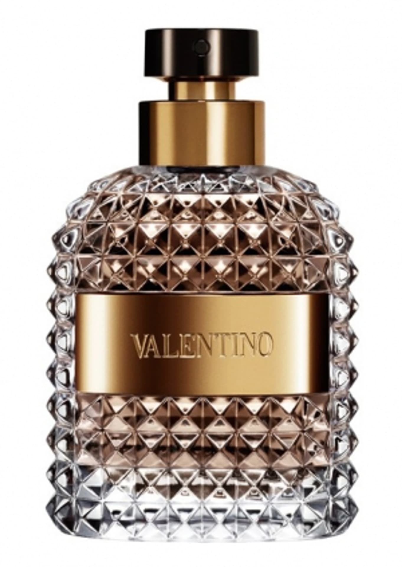 

Valentino Valentino Uomo EDT 100ml (M)