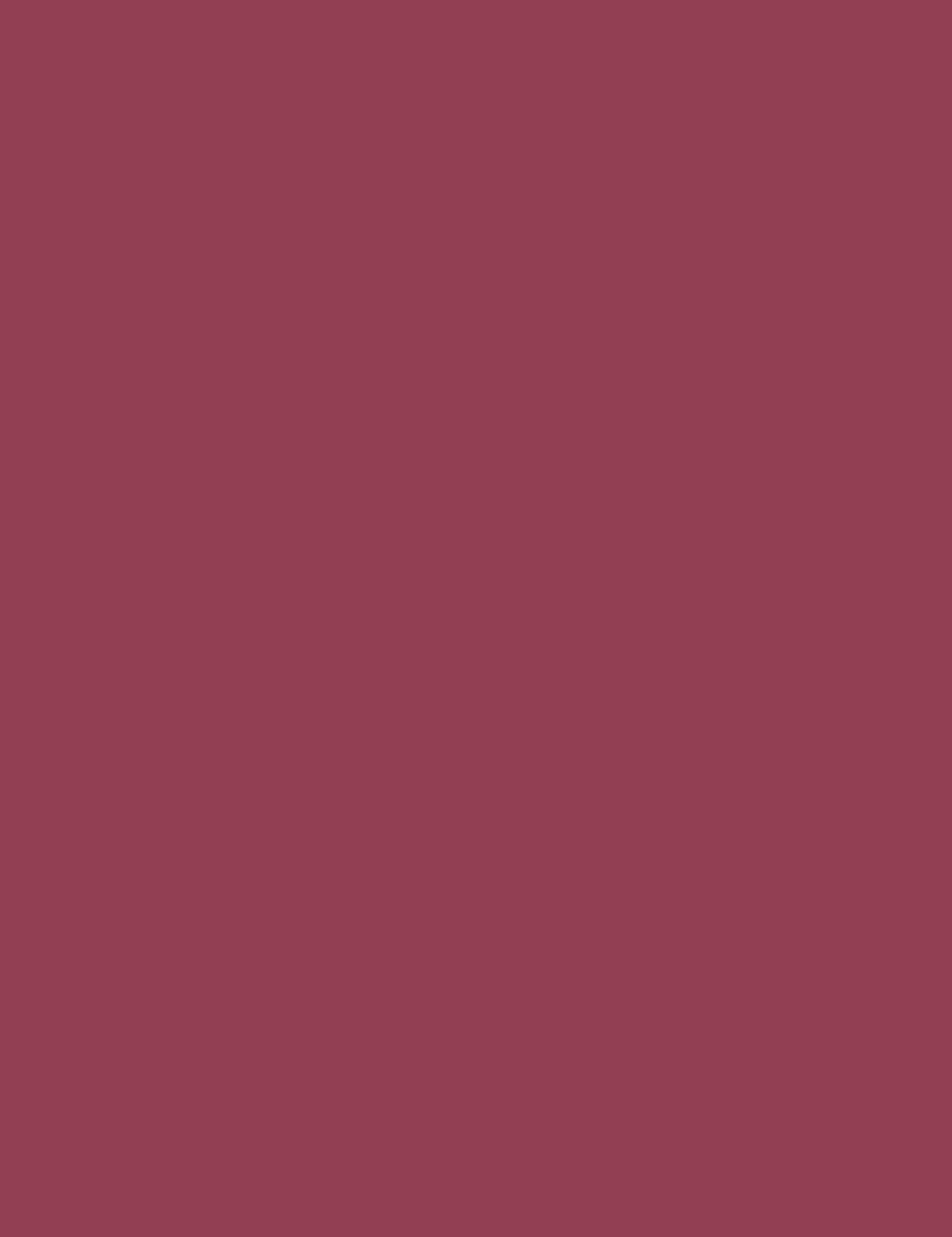 

Clarins 733V Soft Plum Velvet Joli Rouge Pomadka 3,5g (W)