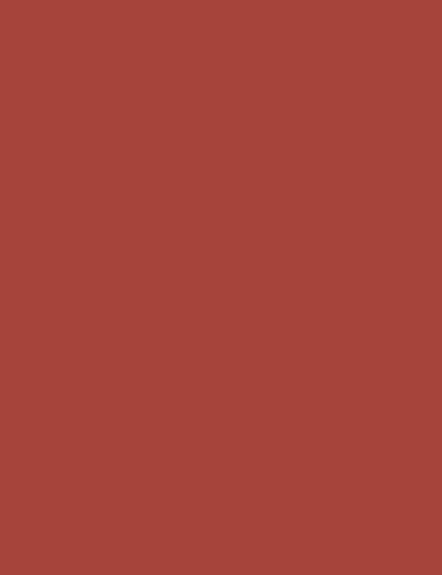

Clarins 757L Nude Brick Lacquer Joli Rouge Pomadka 3g (W)