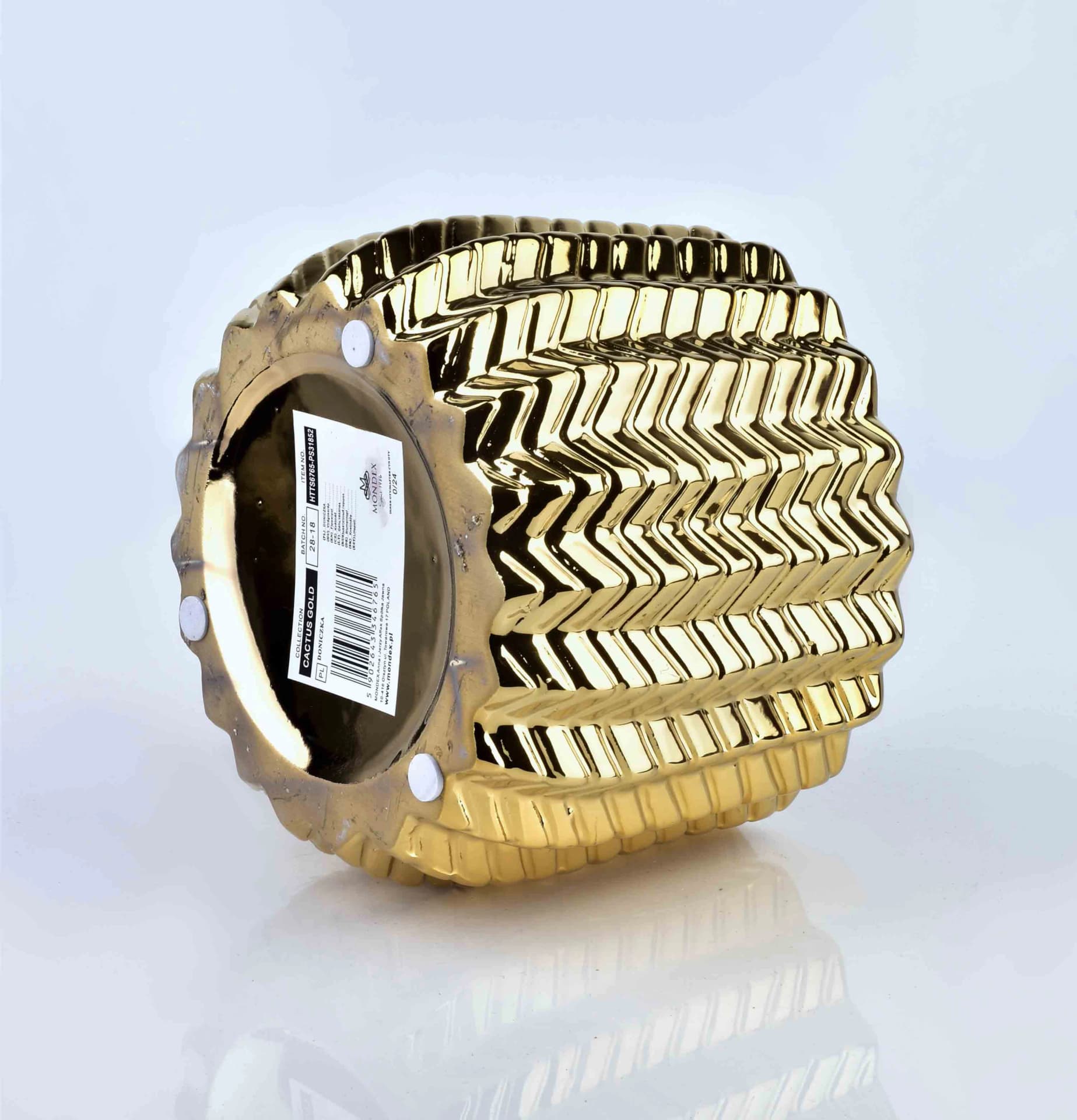 

CACTUS GOLD DONICZKA 13xh11cm