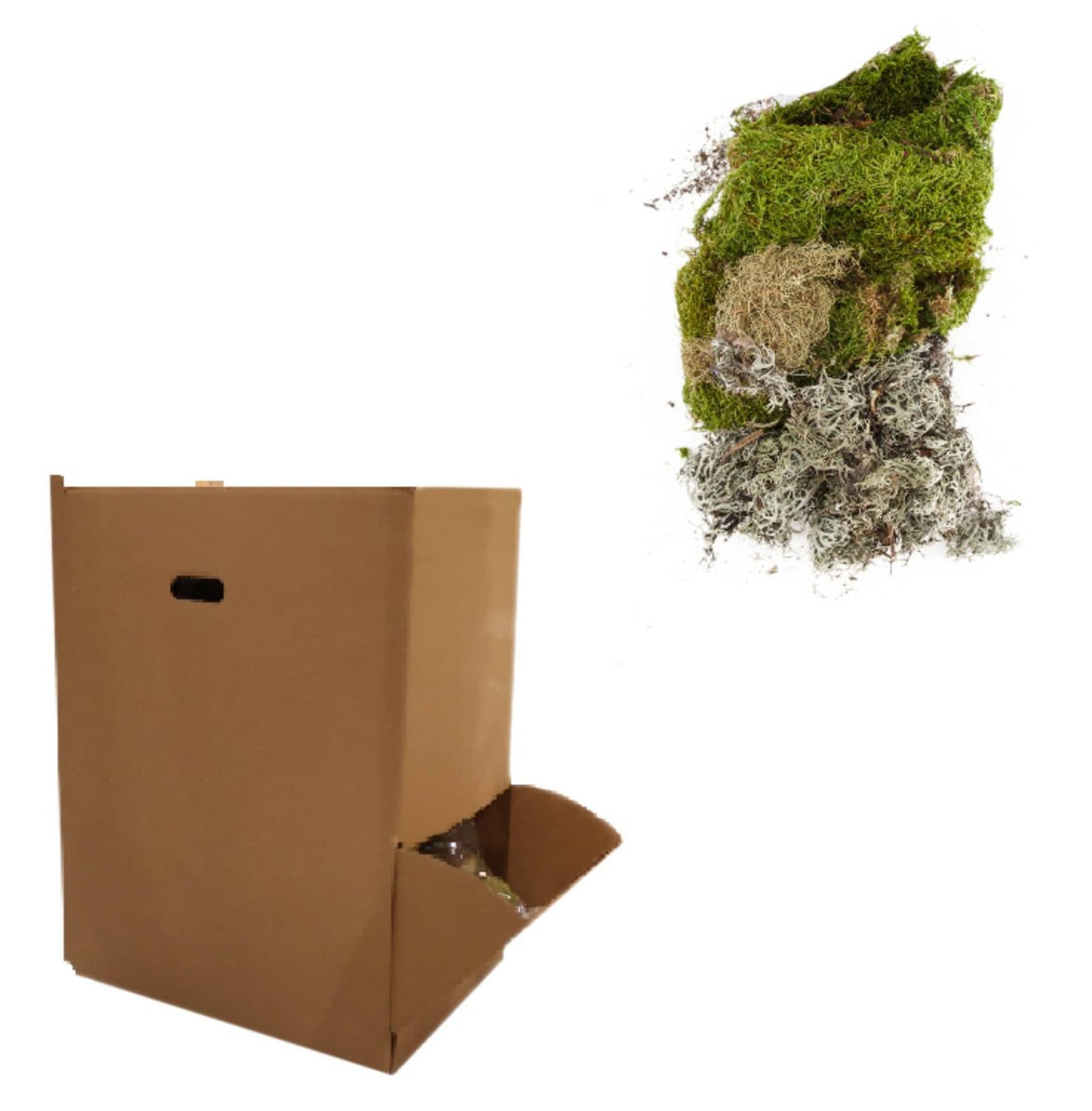 

Naturalny mech, 100 g