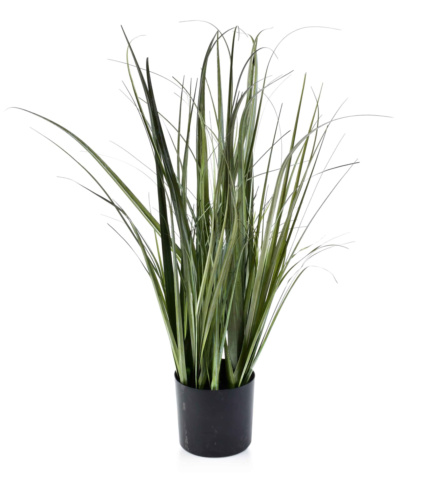 

Kwiat sztuczny trawa w doniczce h65cm