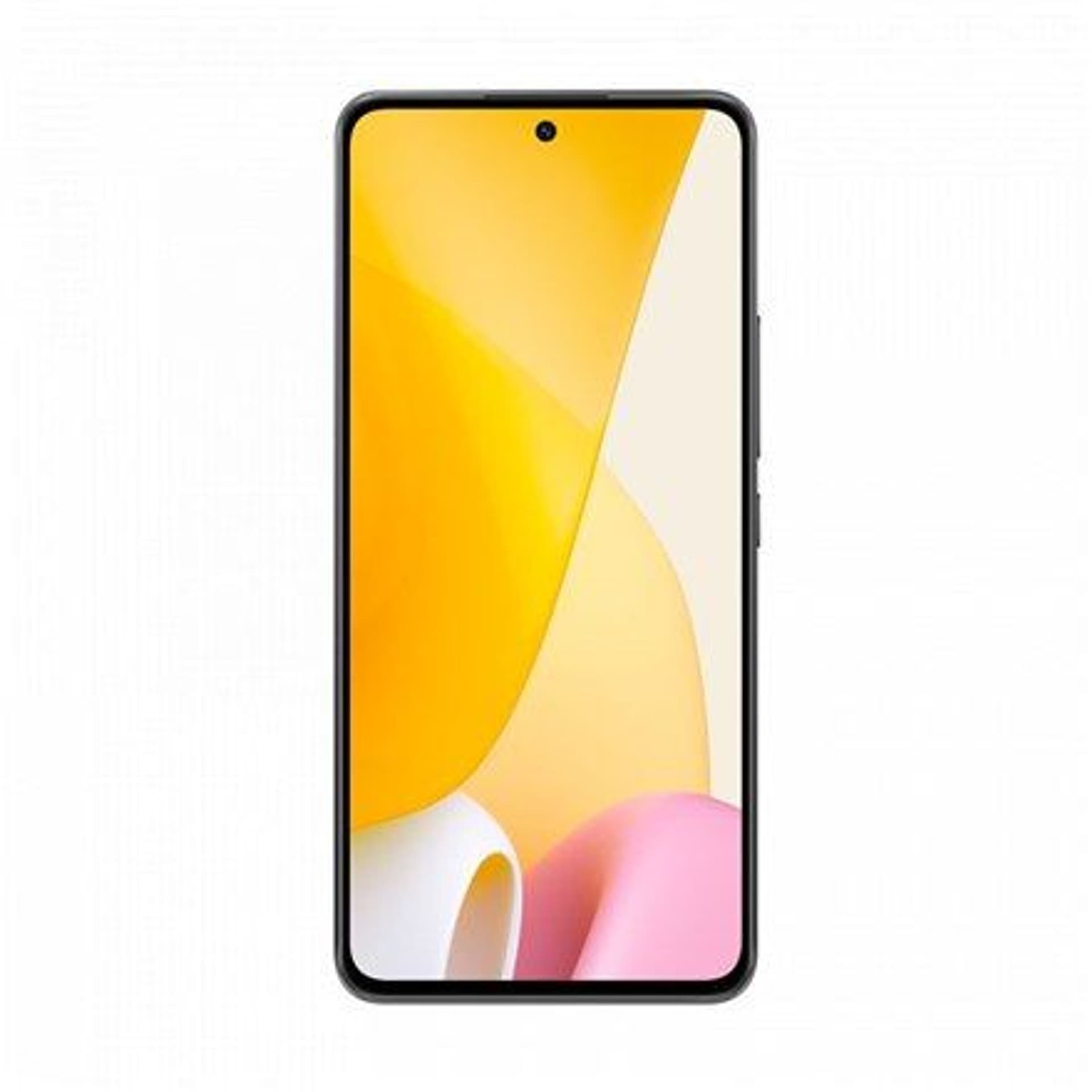 

Telefony Xiaomi 12 Lite (Lite Black) Dual SIM 6.55" AMOLED 1080x2400/2.4GHz&2.2GHz&1.9GHz/128GB/6GB RAM/Android12/WiFi,BT/4G,5G,