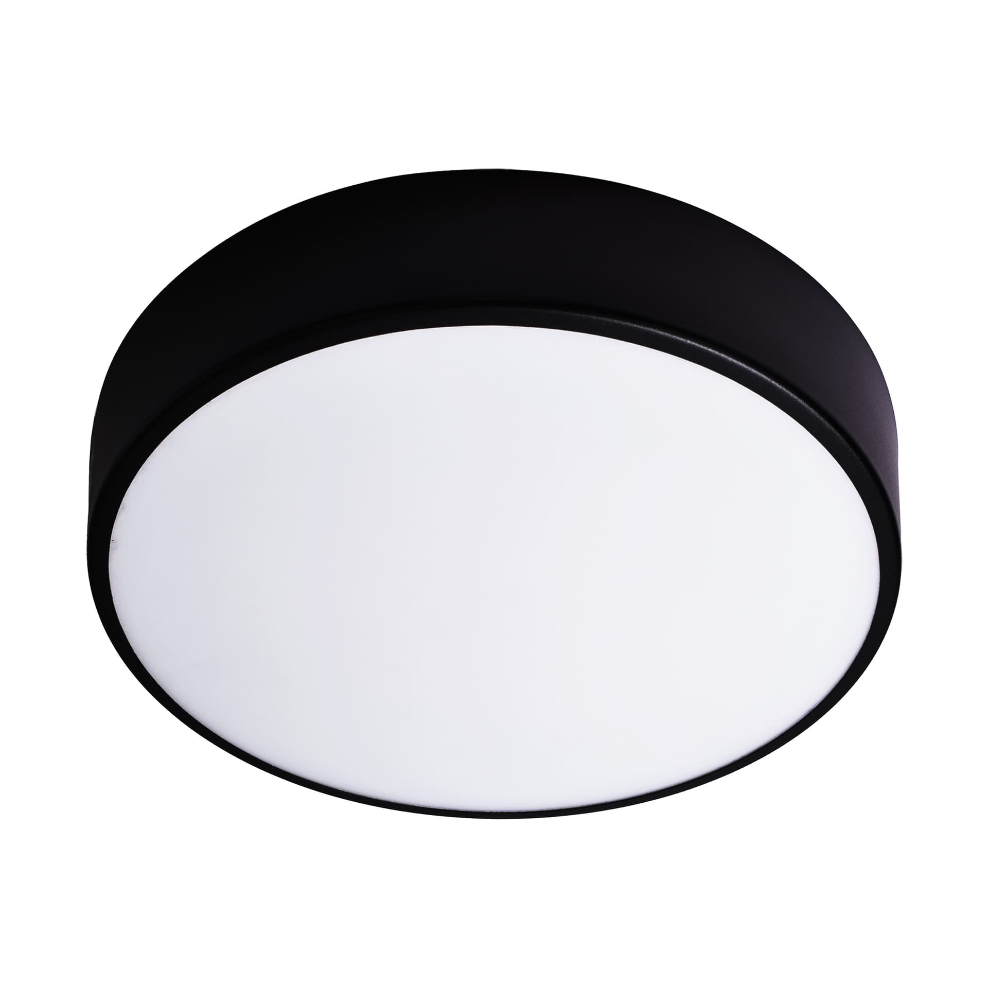 

OVO plafon 2xE27, 2x24W, czarna stal, klosz szklany matowy, IP20 ,  300