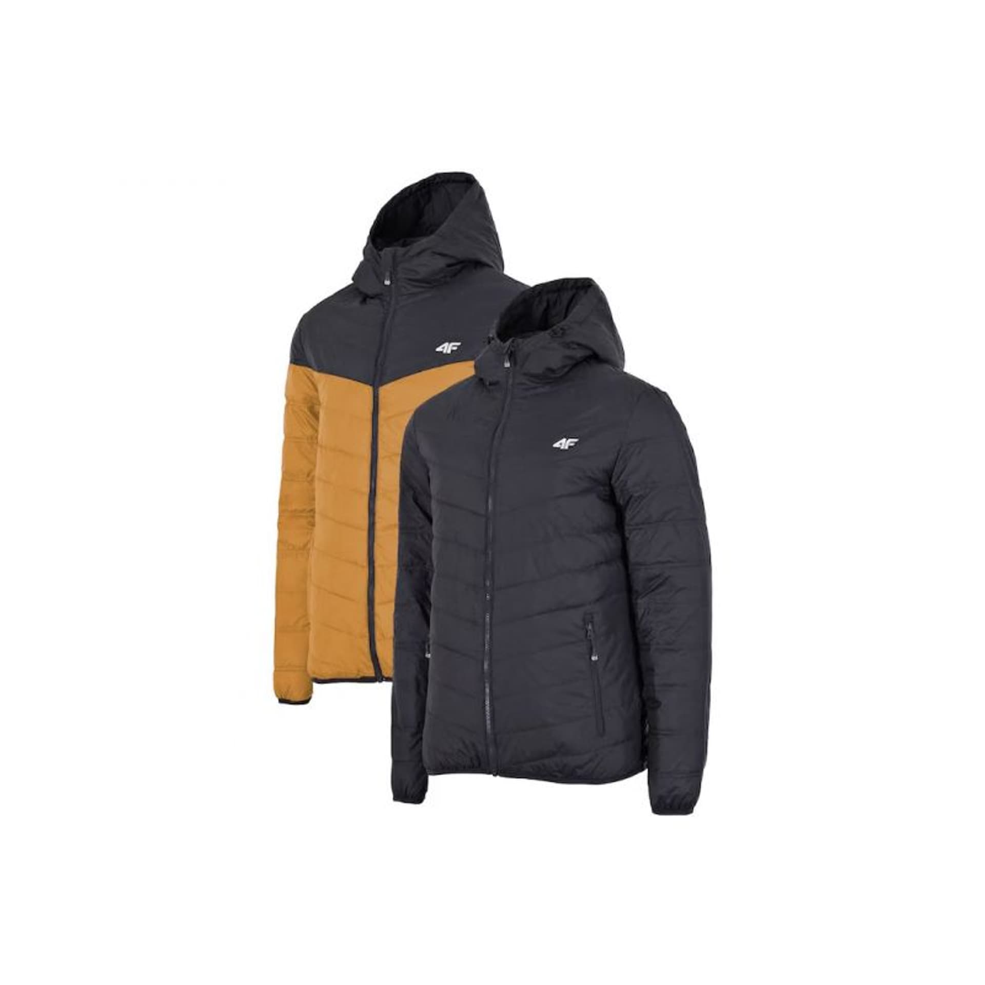 

Kurtka 4F M AW22TDJAM176 (kolor Czarny, rozmiar M)
