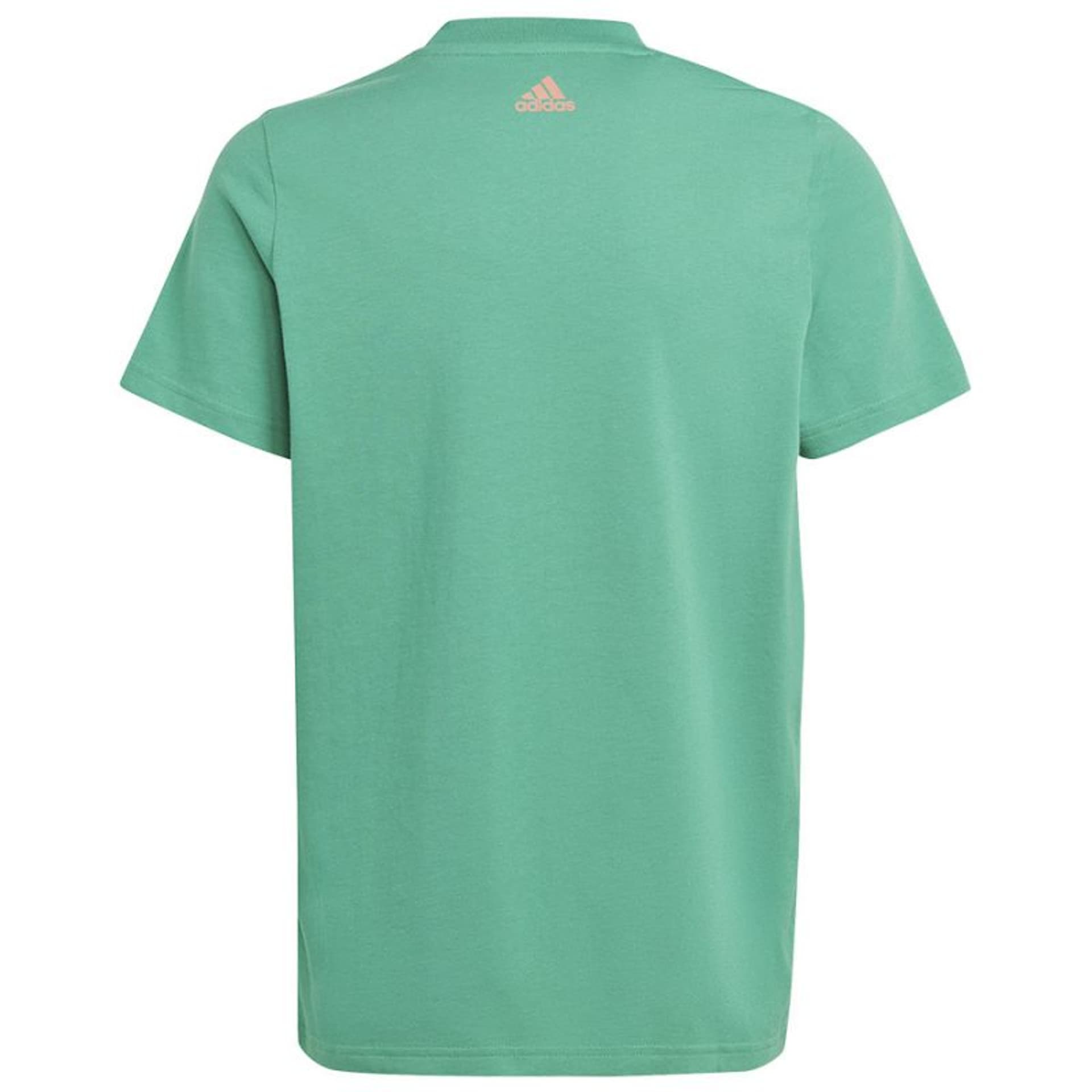 

Koszulka adidas Big Logo 2 Tee Jr (kolor Zielony